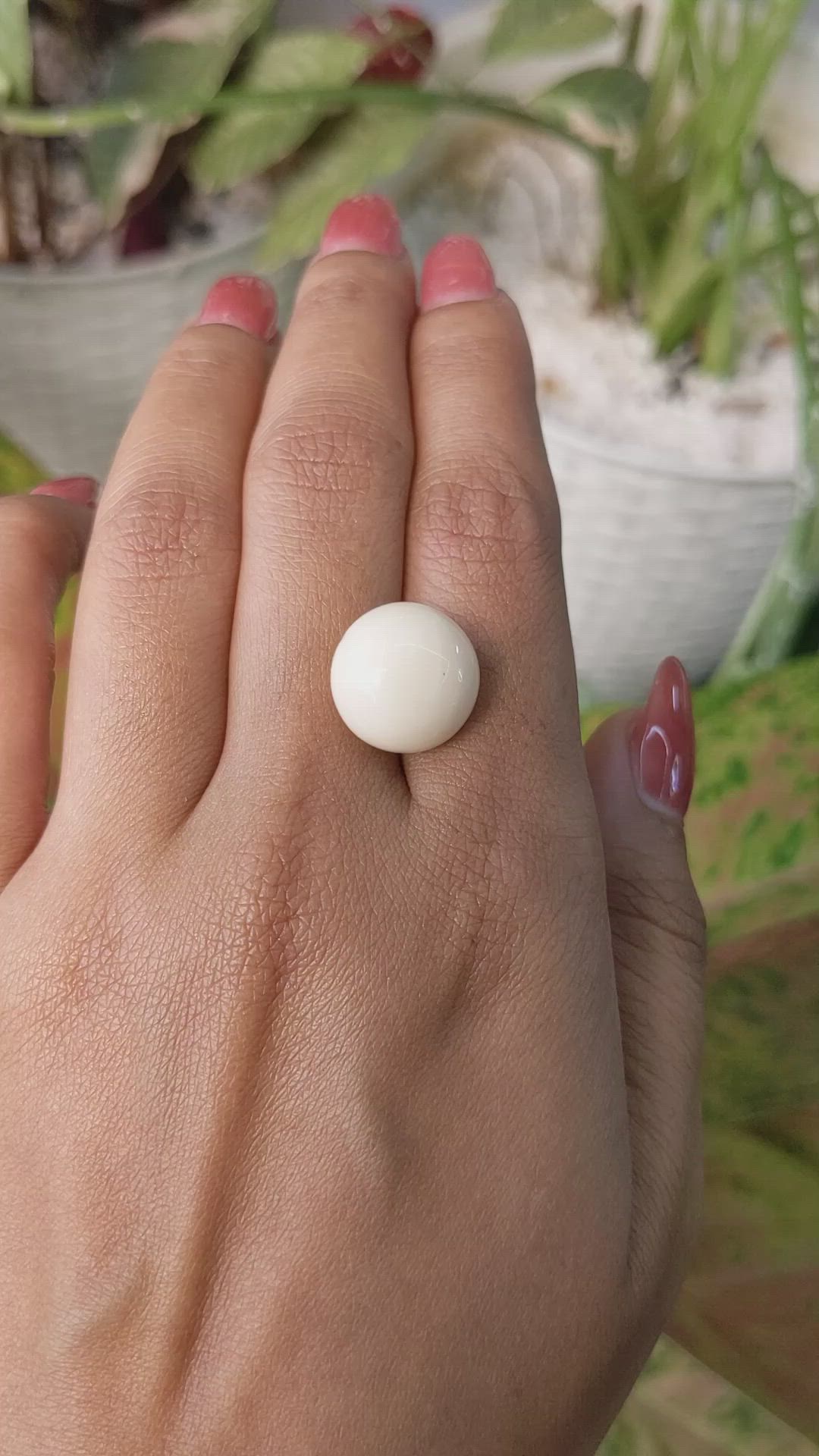 13.08 Ct. Salmon and White Cabochon Coral from Italy Size Video