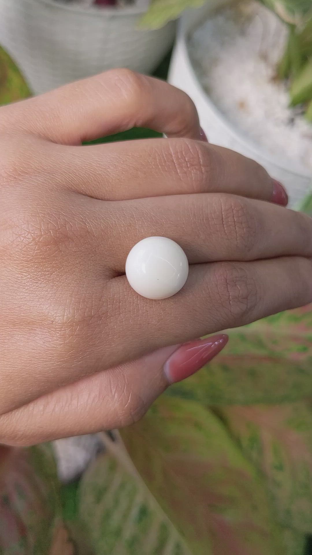 13.08 Ct. Salmon and White Cabochon Coral from Italy Size Video