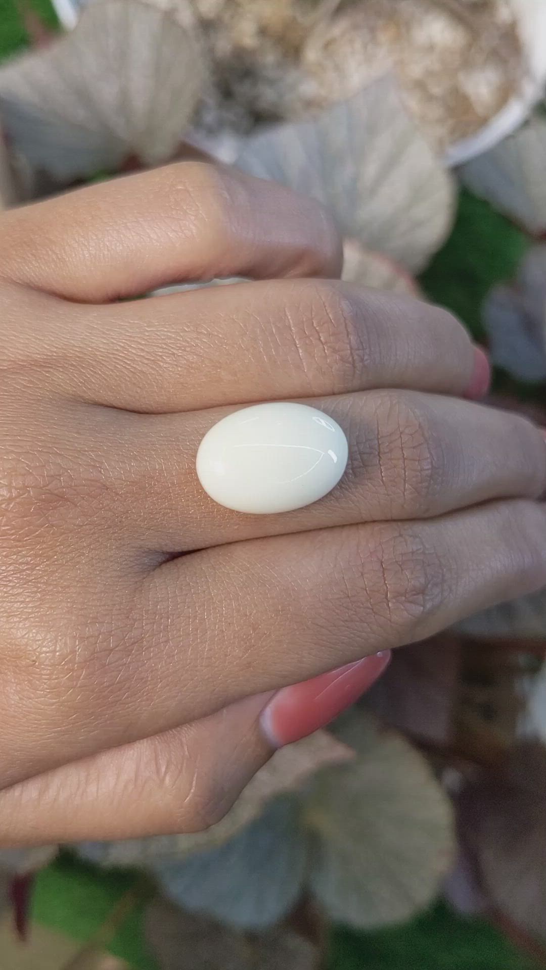 10.76 Ct. Salmon and White Cabochon Coral from Italy Size Video