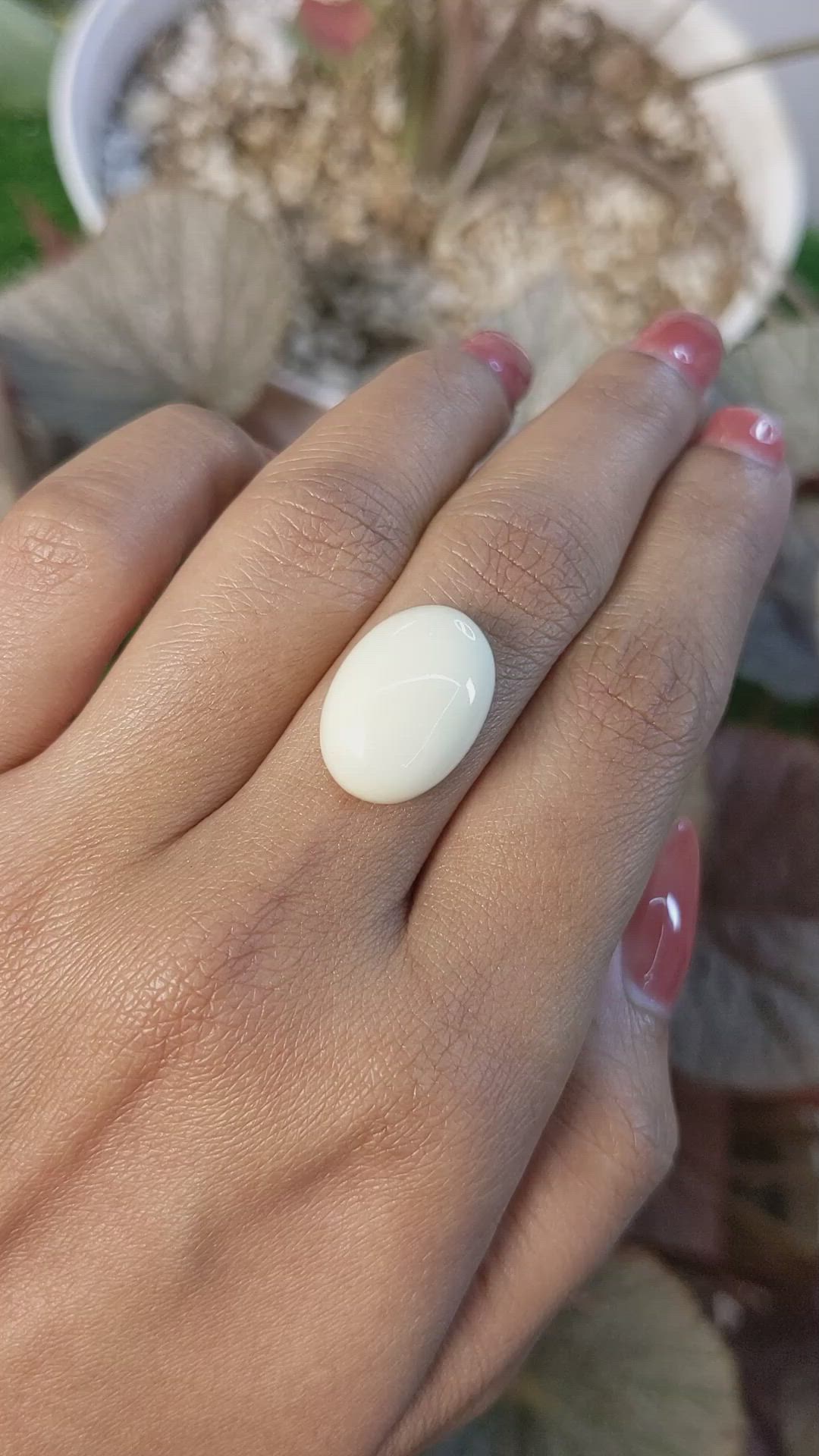 10.76 Ct. Salmon and White Cabochon Coral from Italy Size Video