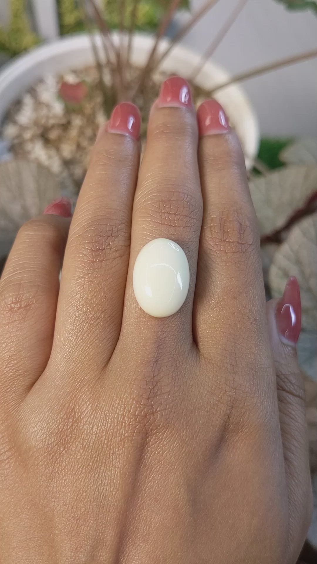 10.76 Ct. Salmon and White Cabochon Coral from Italy Size Video