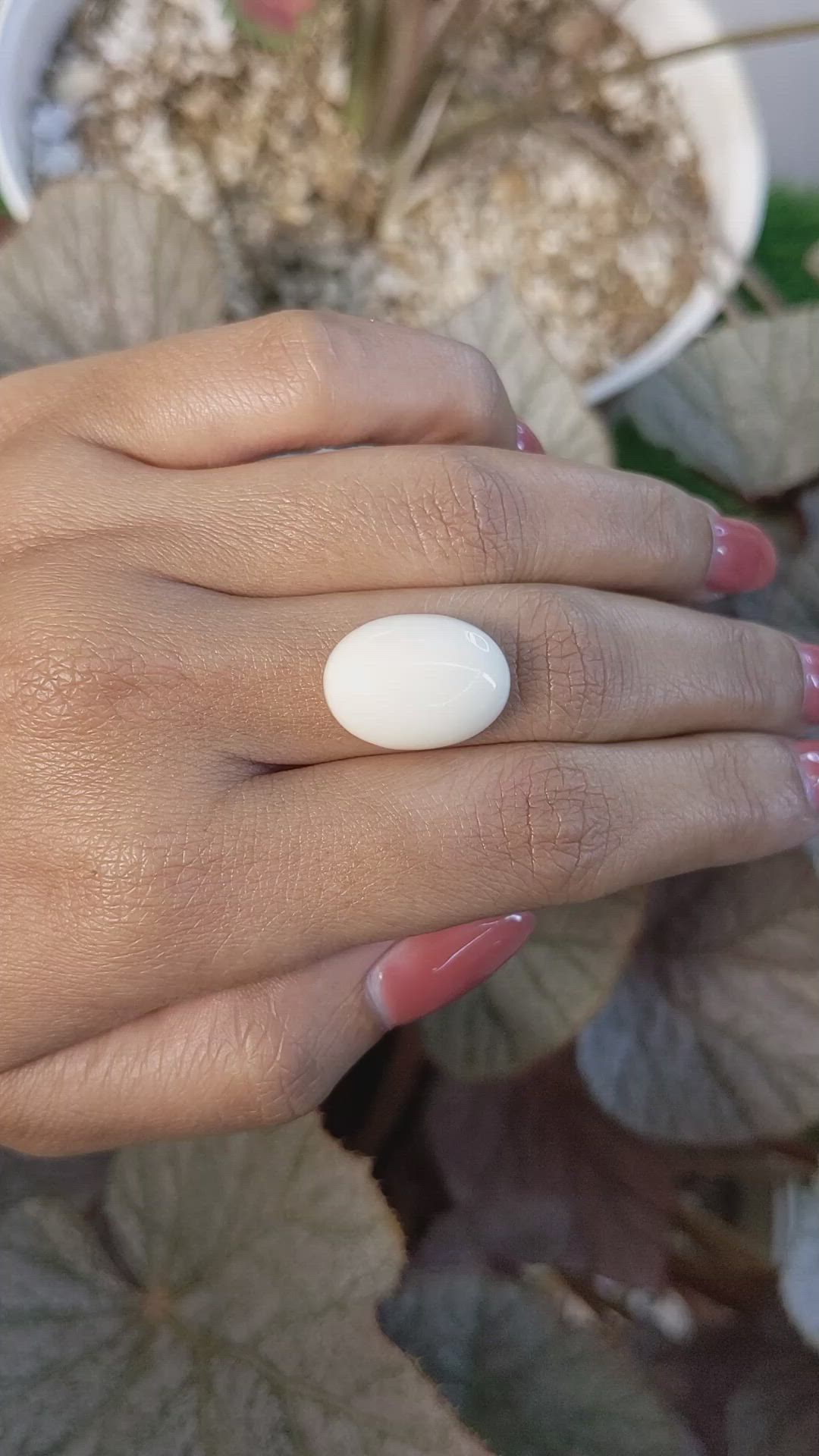 11.66 Ct. Salmon and White Cabochon Coral from Italy Size Video