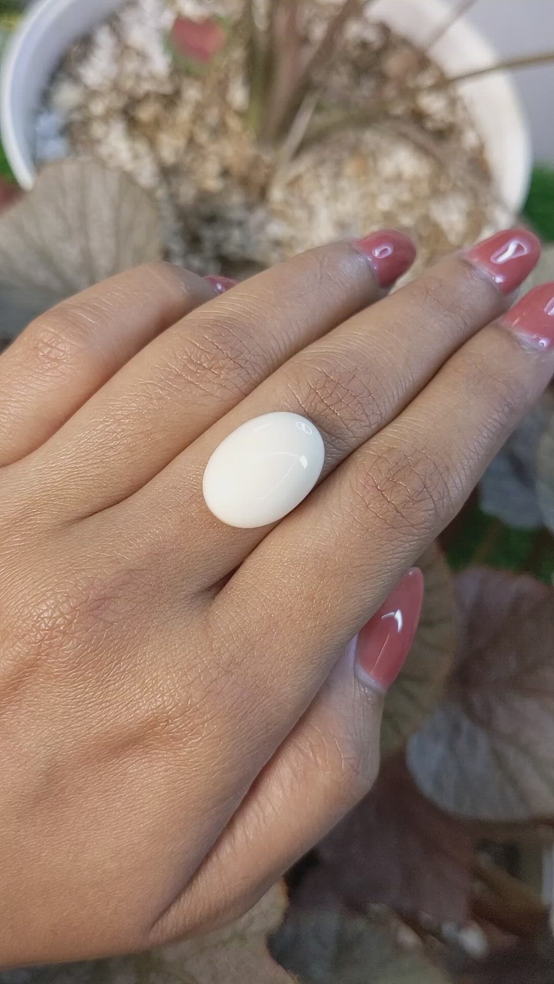 11.66 Ct. Salmon and White Cabochon Coral from Italy Size Video