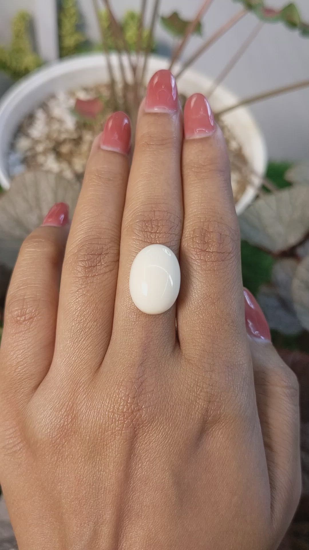 11.66 Ct. Salmon and White Cabochon Coral from Italy Size Video