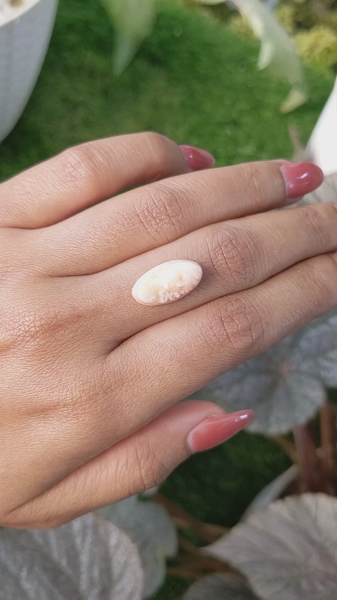 6.10 Ct. Salmon and White Coral from Italy Size Video