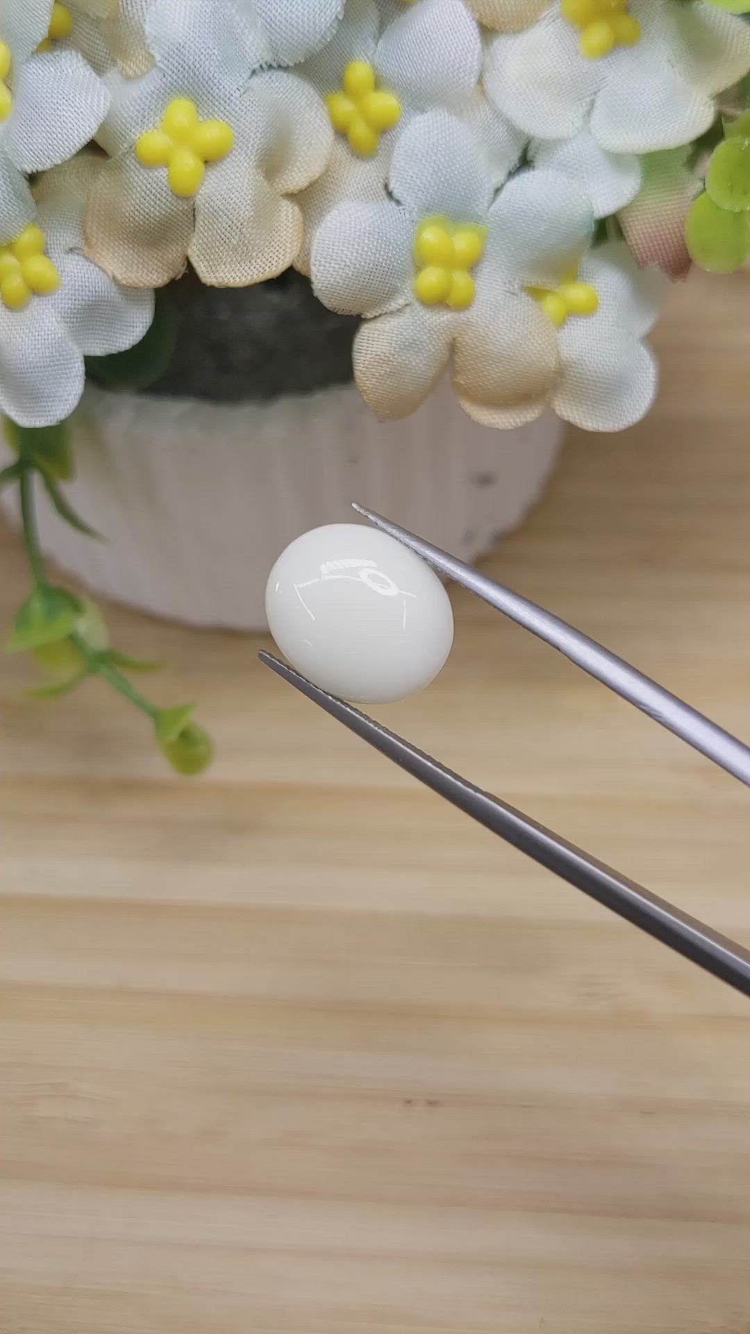 5.24 Ct. Salmon and White Cabochon Coral from Italy Size Video