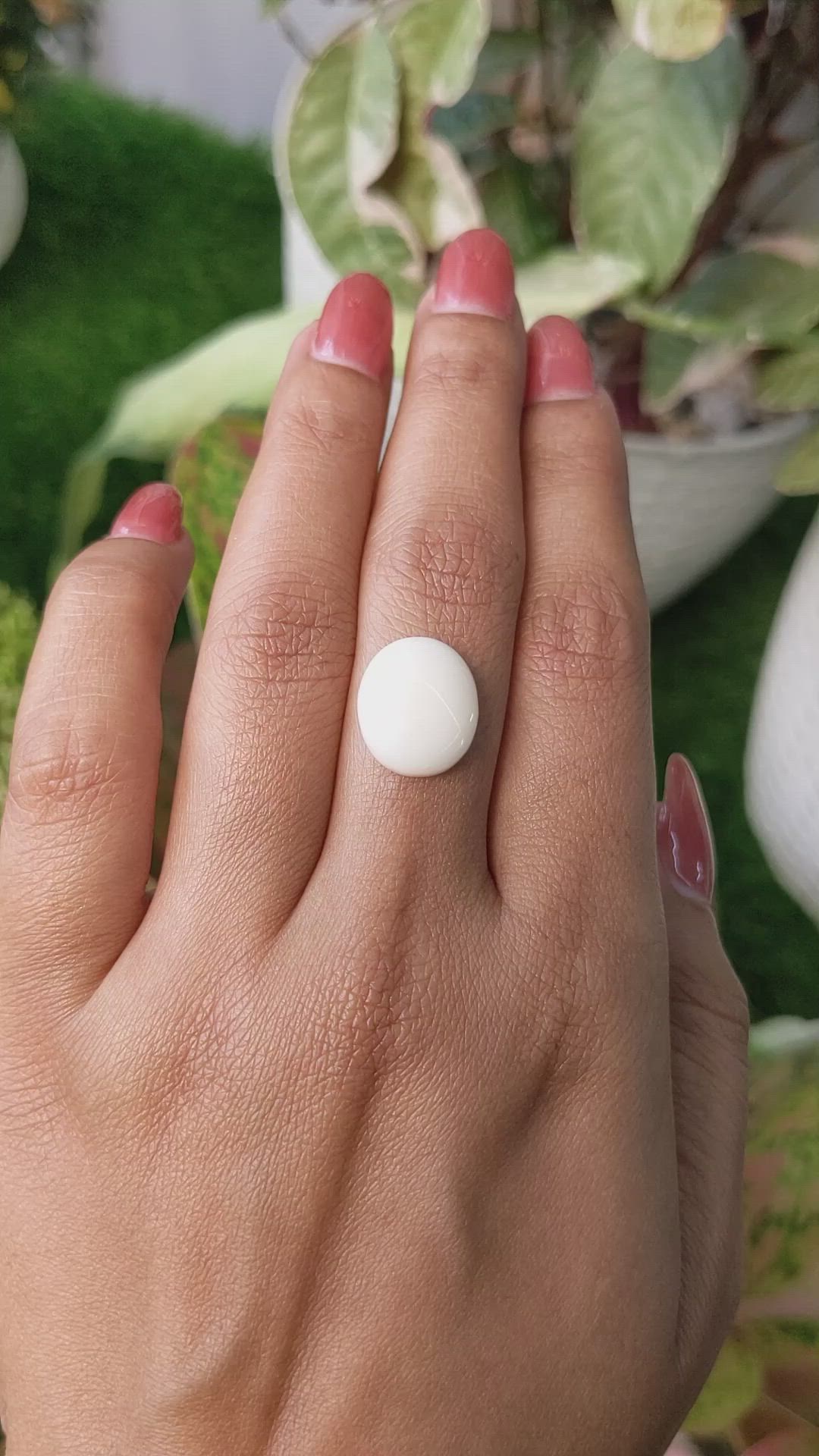 5.24 Ct. Salmon and White Cabochon Coral from Italy Size Video