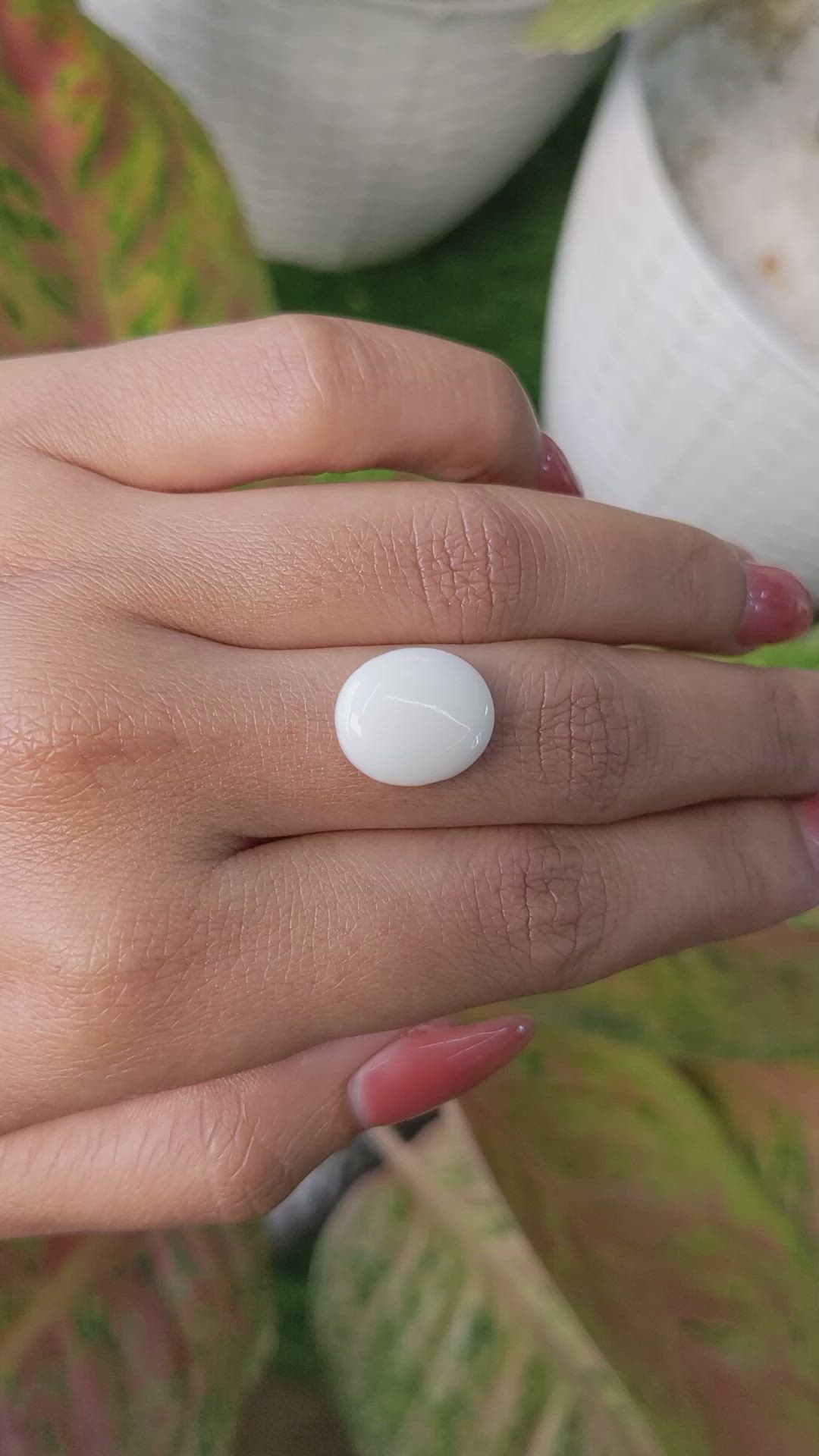 5.24 Ct. Salmon and White Cabochon Coral from Italy Size Video