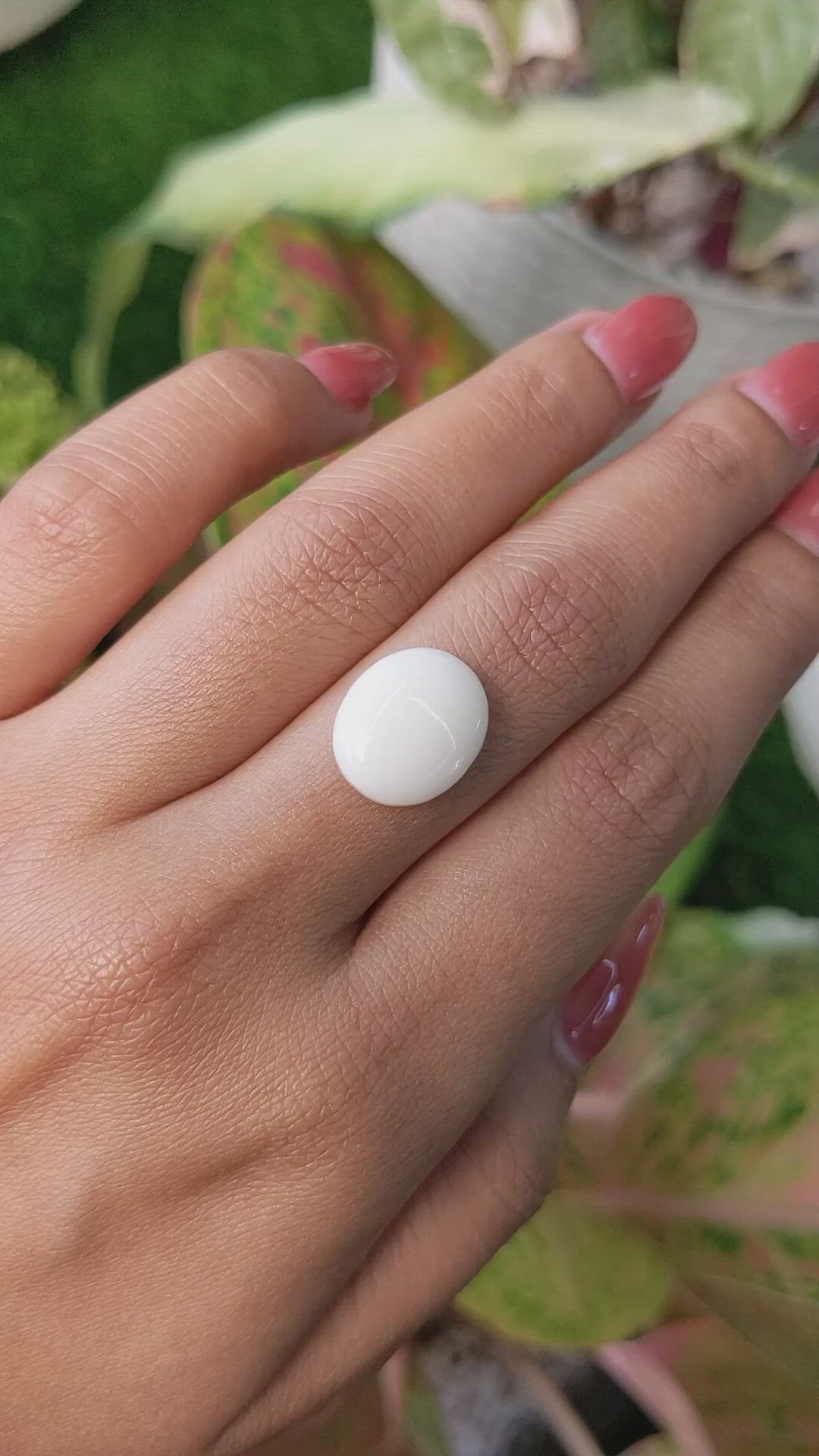 5.24 Ct. Salmon and White Cabochon Coral from Italy Size Video