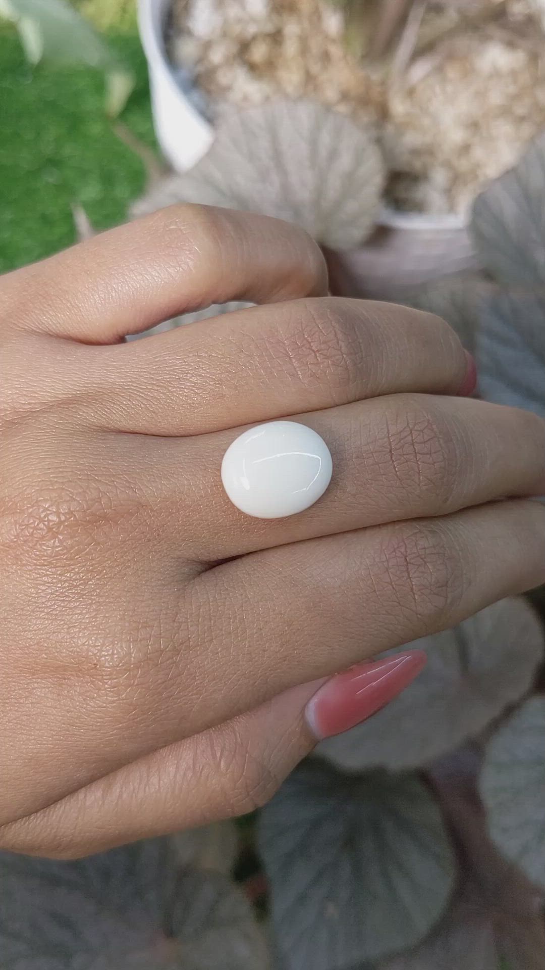 6.17 Ct. Salmon and White Cabochon Coral from Italy Size Video