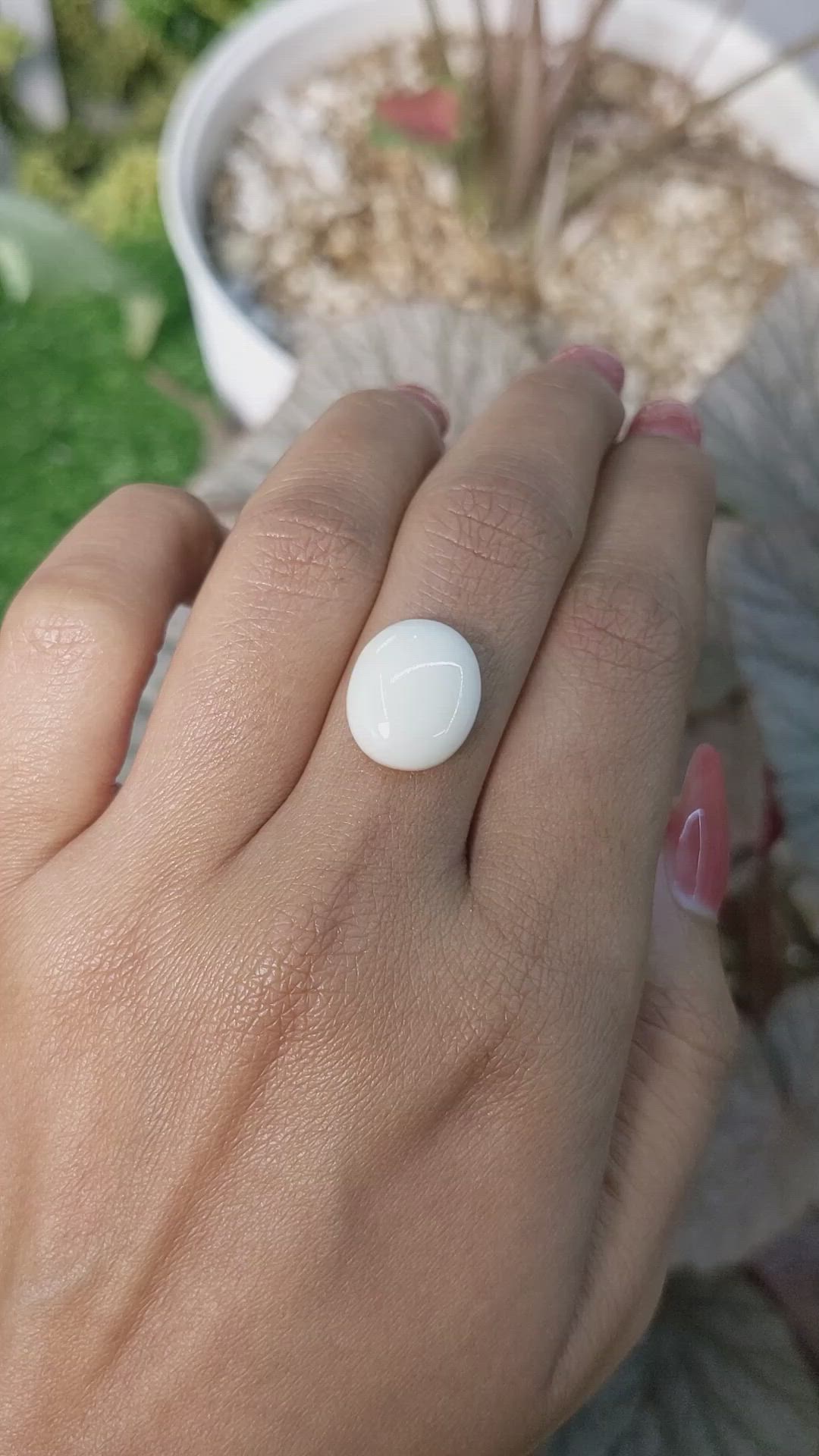 6.17 Ct. Salmon and White Cabochon Coral from Italy Size Video
