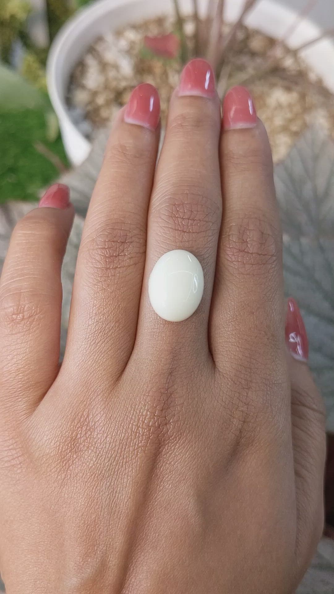 7.64 Ct. Salmon and White Cabochon Coral from Italy Size Video