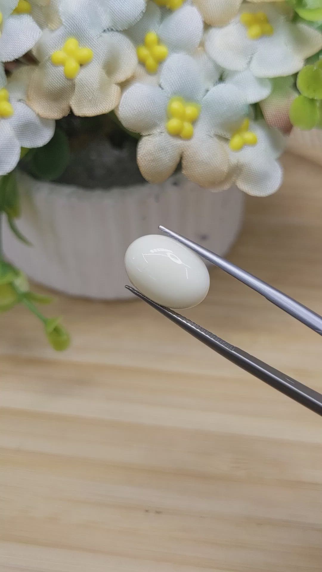 4.90 Ct. Salmon and White Cabochon Coral from Italy Size Video