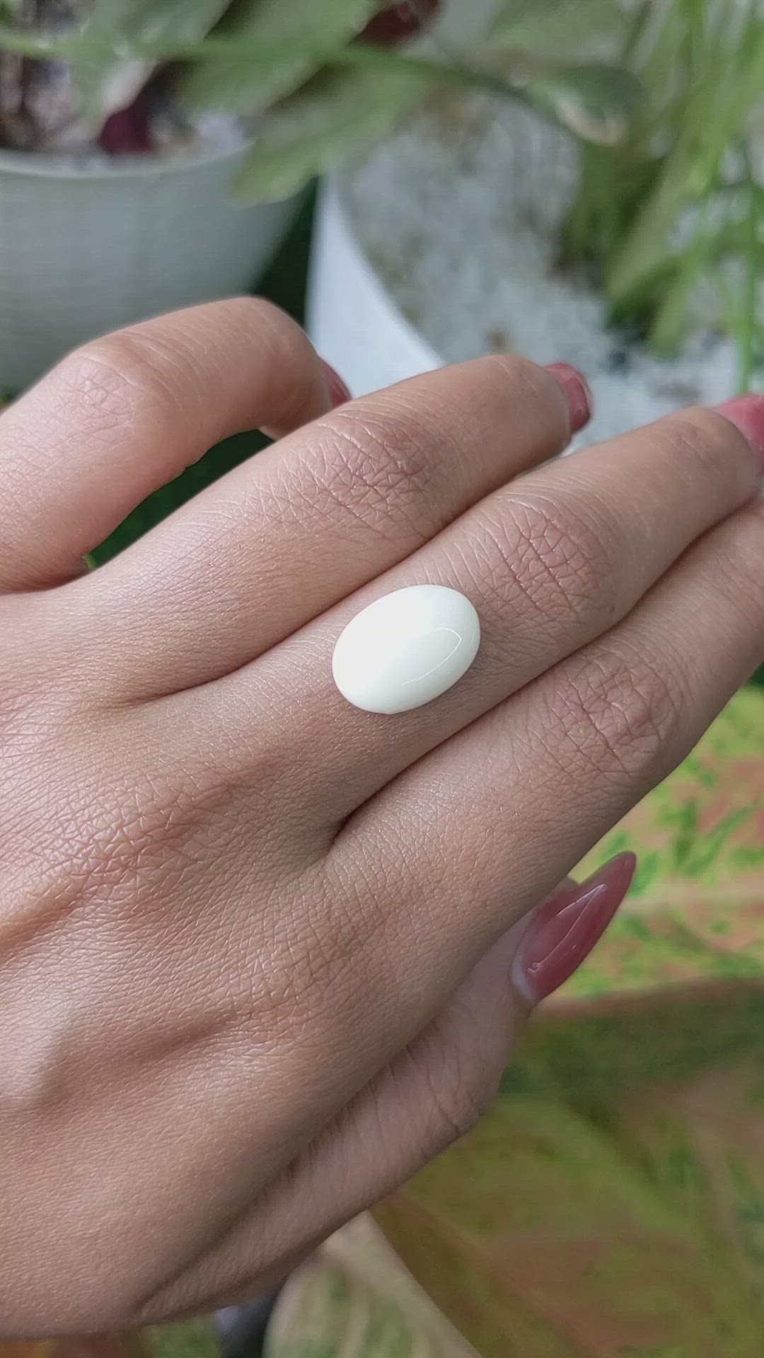 4.90 Ct. Salmon and White Cabochon Coral from Italy Size Video