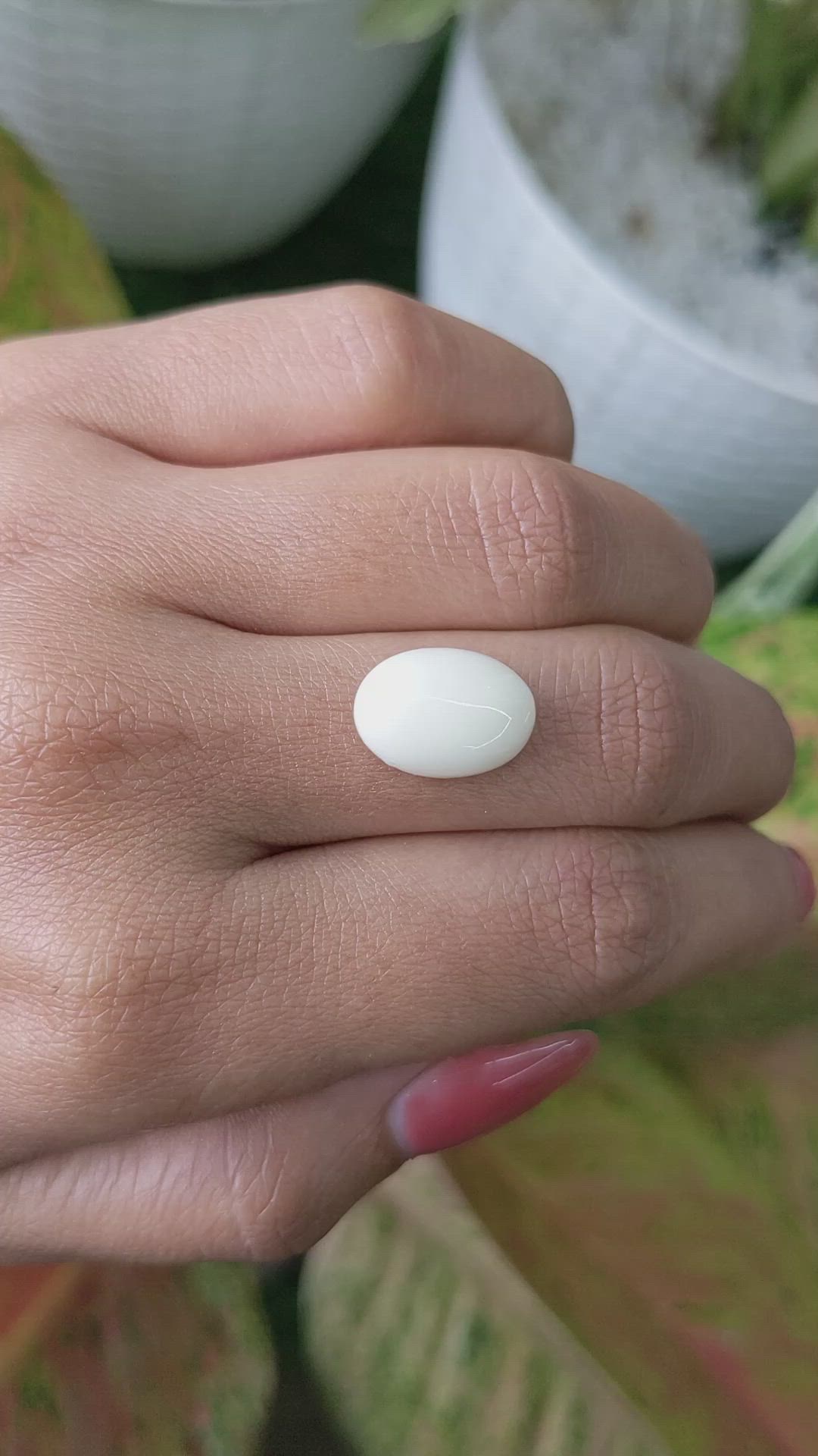 4.90 Ct. Salmon and White Cabochon Coral from Italy Size Video
