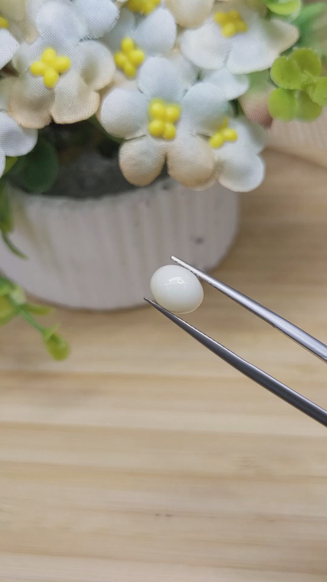 2.21 Ct. Salmon and White Cabochon Coral from Italy Size Video