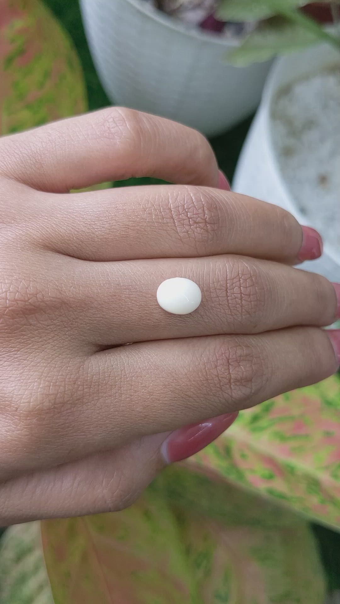 2.21 Ct. Salmon and White Cabochon Coral from Italy Size Video
