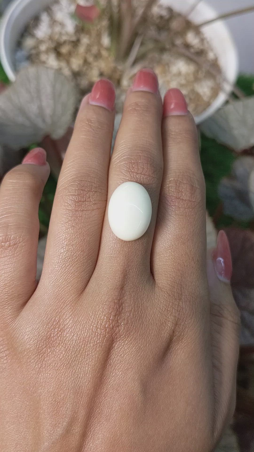 11.28 Ct. Salmon and White Cabochon Coral from Italy Size Video