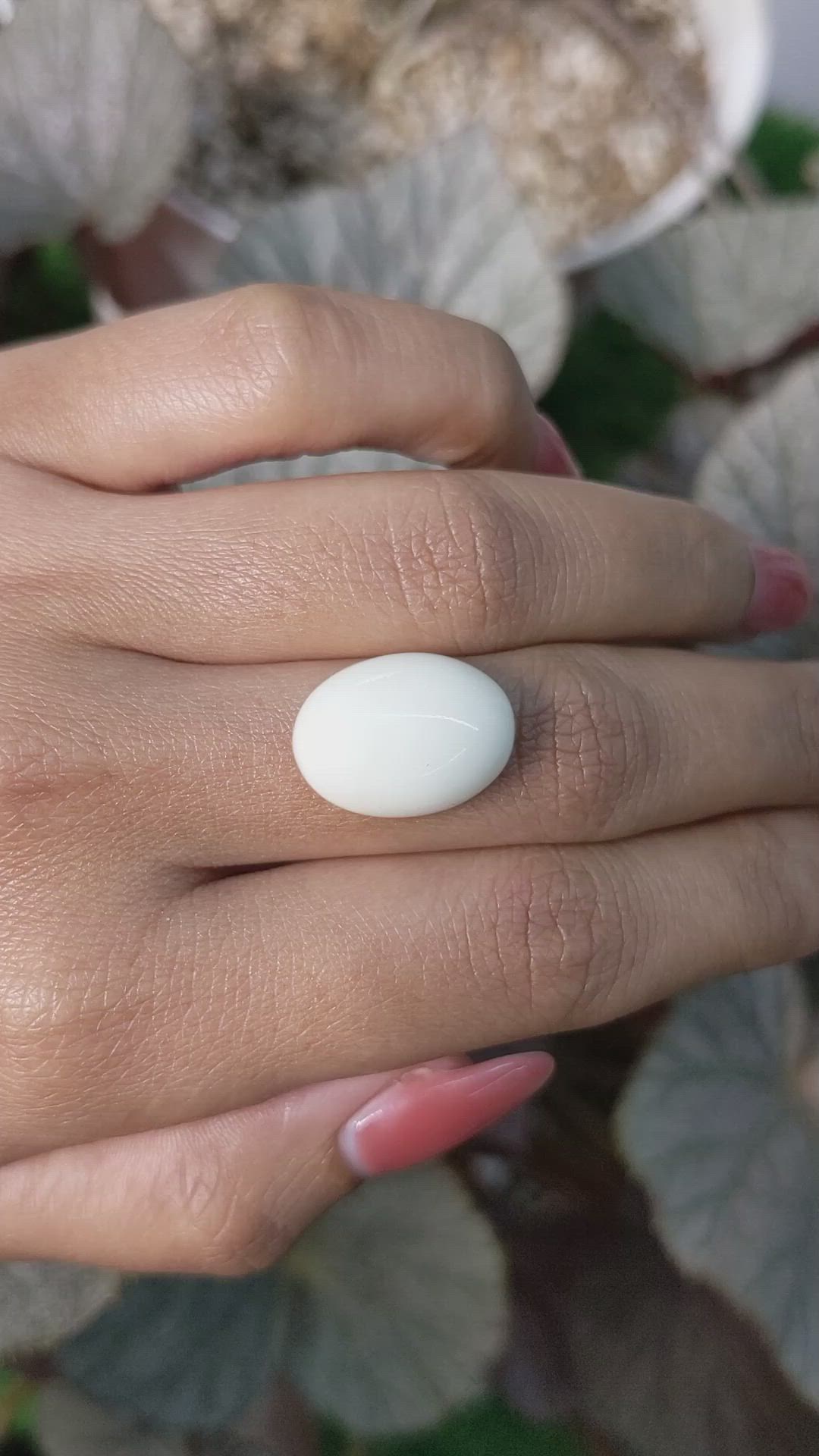 11.28 Ct. Salmon and White Cabochon Coral from Italy Size Video
