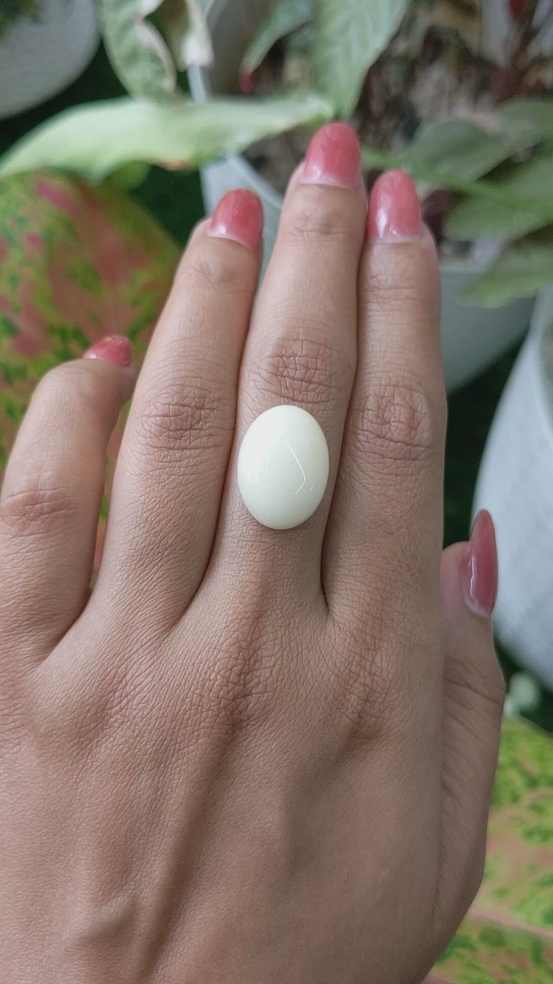 11.23 Ct. Salmon and White Cabochon Coral from Italy Size Video