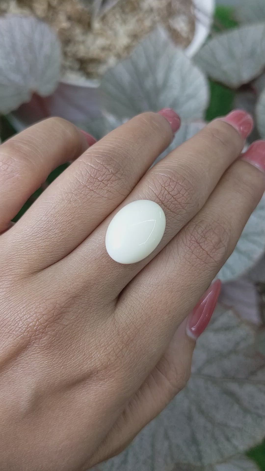 11.23 Ct. Salmon and White Cabochon Coral from Italy Size Video