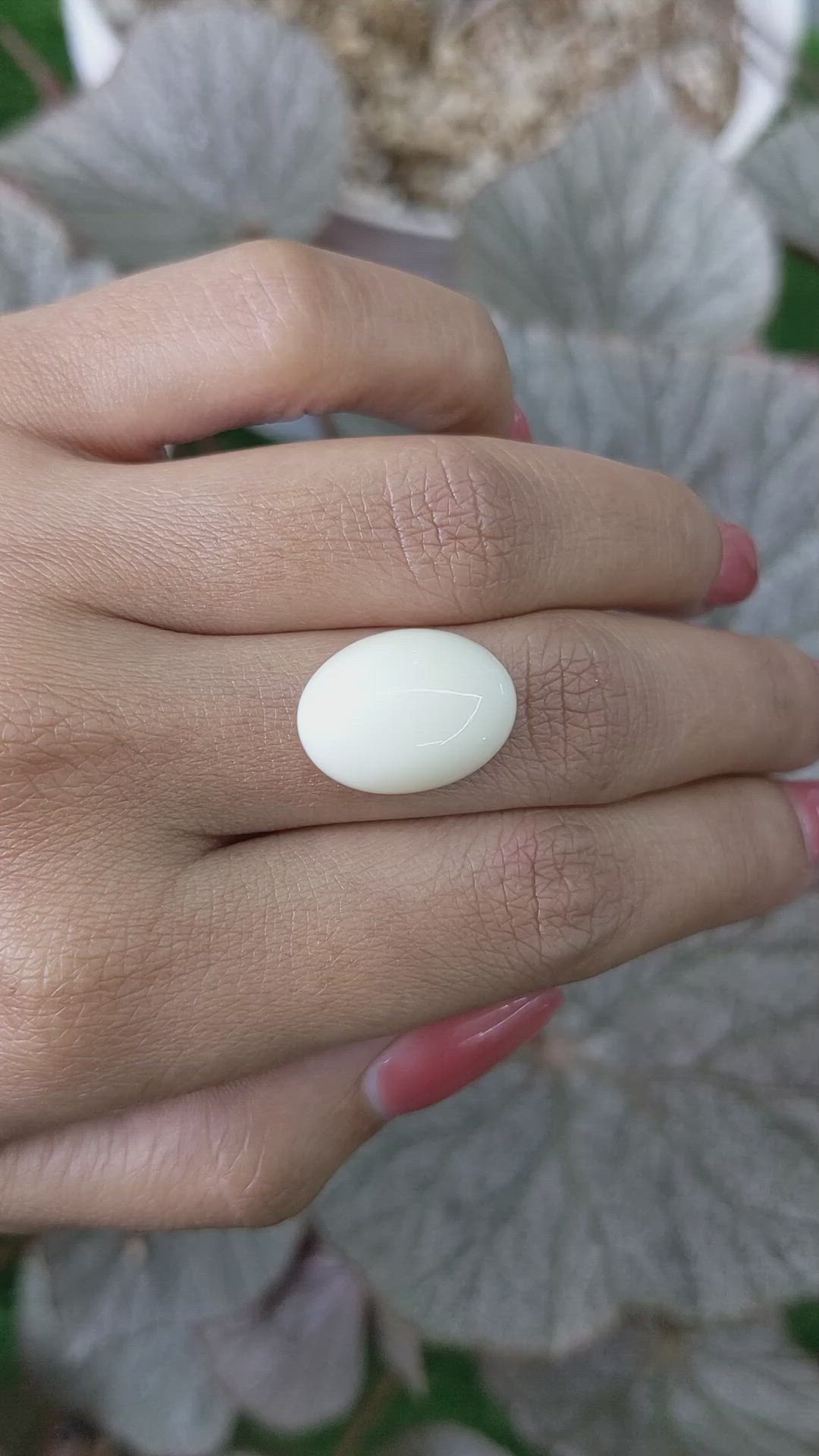11.23 Ct. Salmon and White Cabochon Coral from Italy Size Video