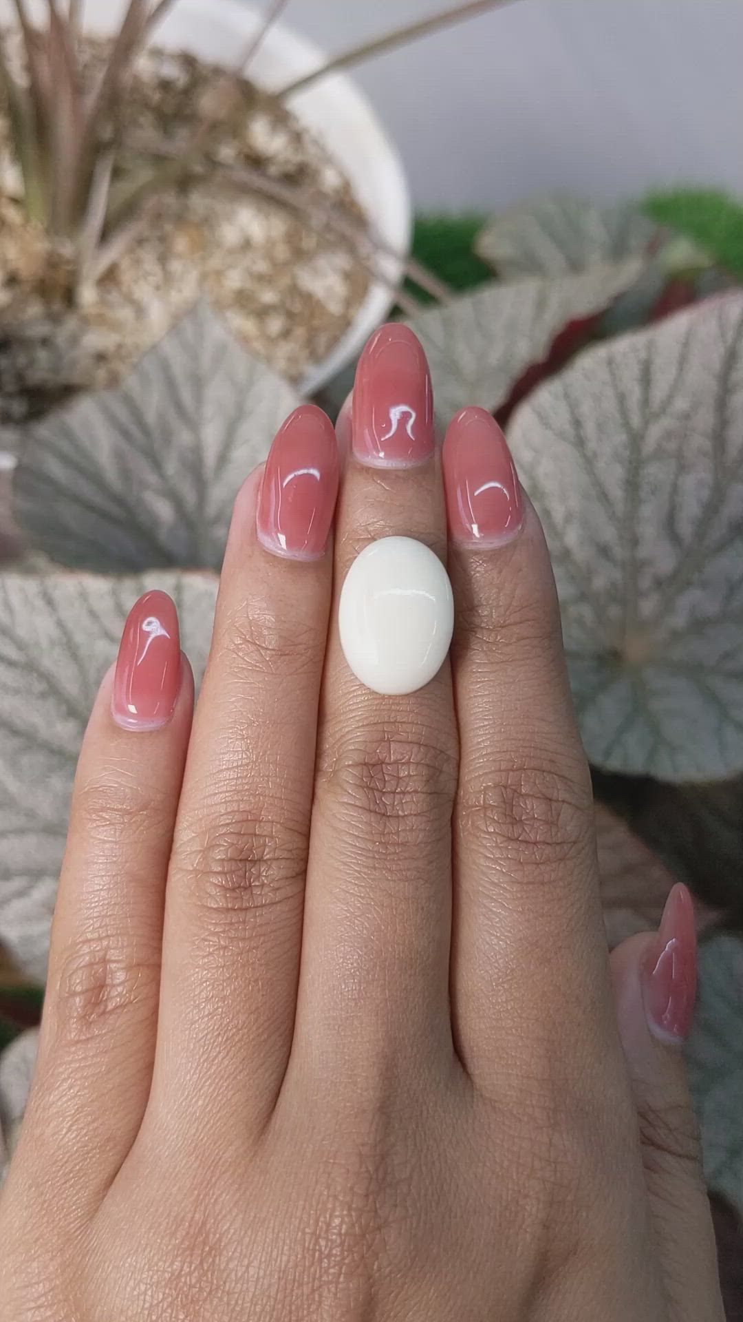 8.76 Ct. Salmon and White Cabochon Coral from Italy Size Video