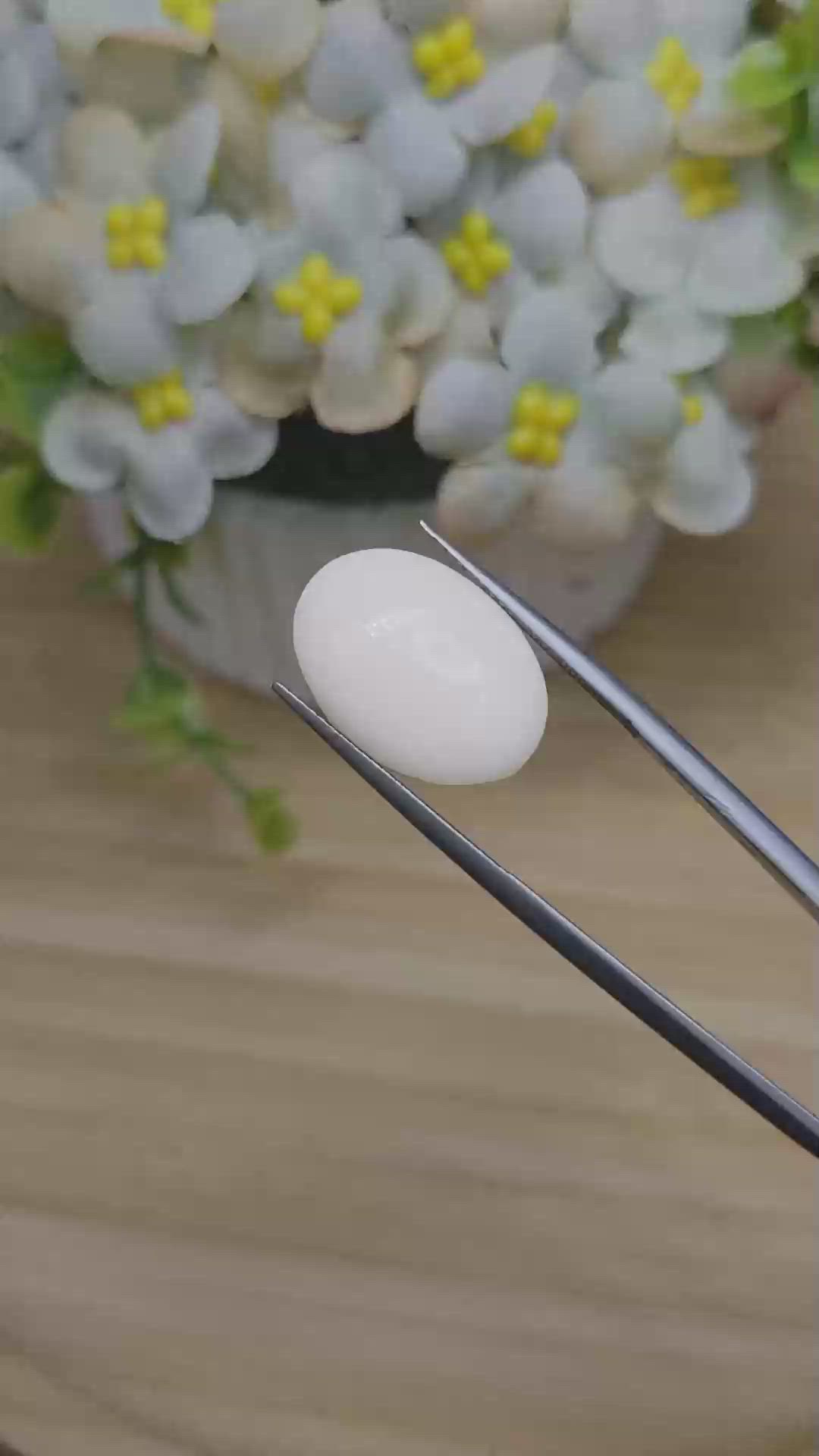 8.76 Ct. Salmon and White Cabochon Coral from Italy Size Video