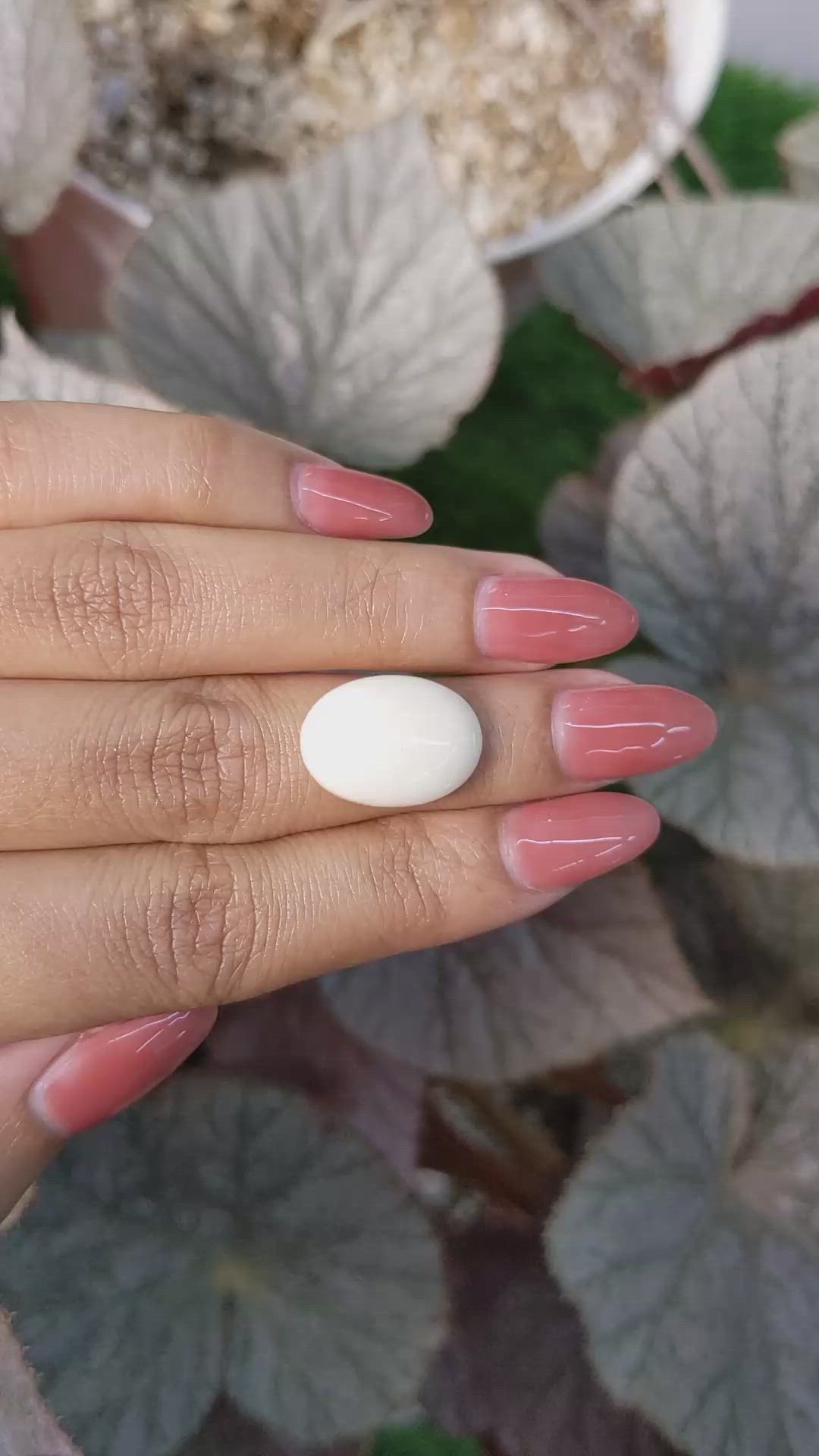 8.76 Ct. Salmon and White Cabochon Coral from Italy Size Video