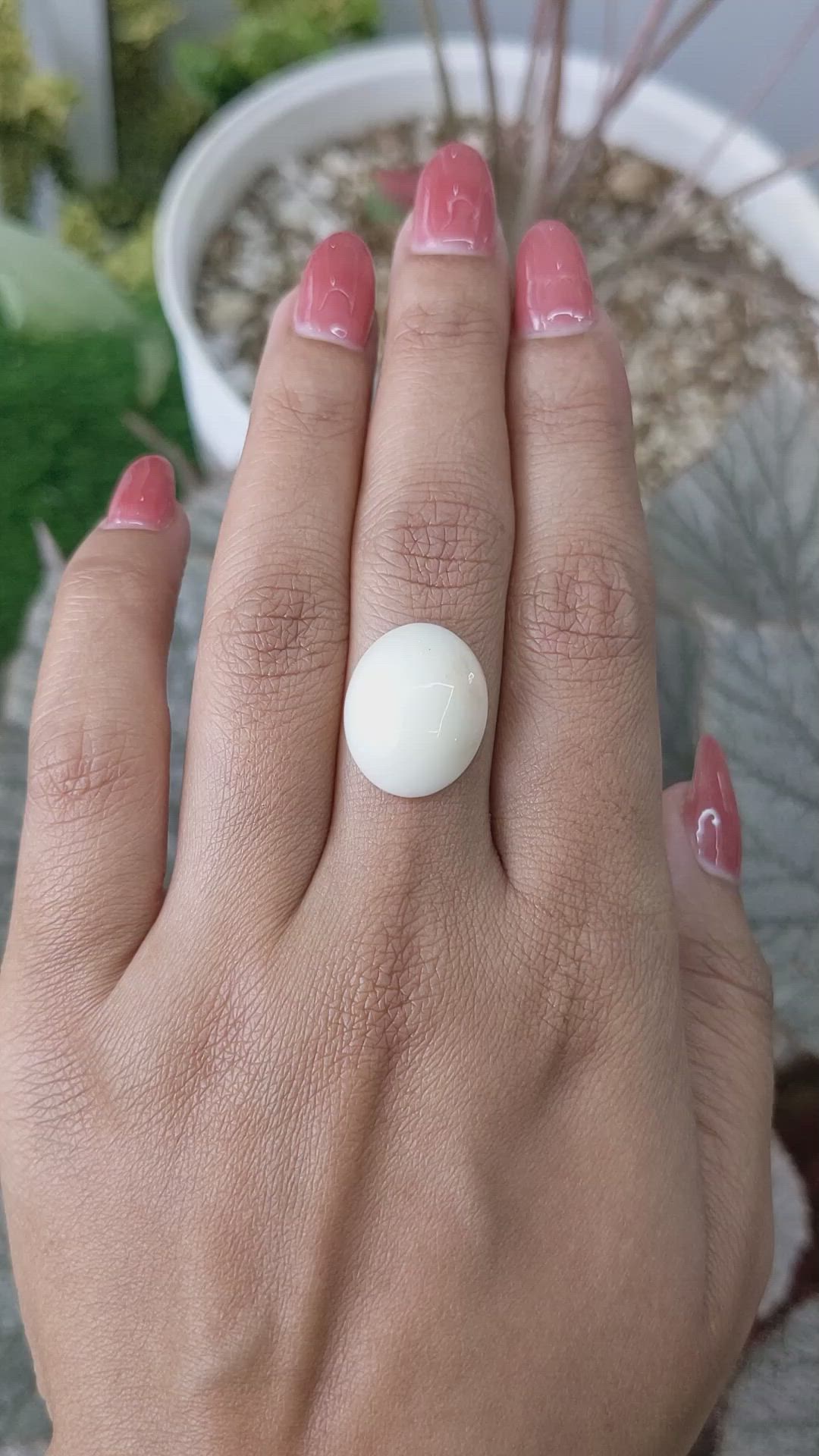 9.48 Ct. Salmon and White Cabochon Coral from Italy Size Video