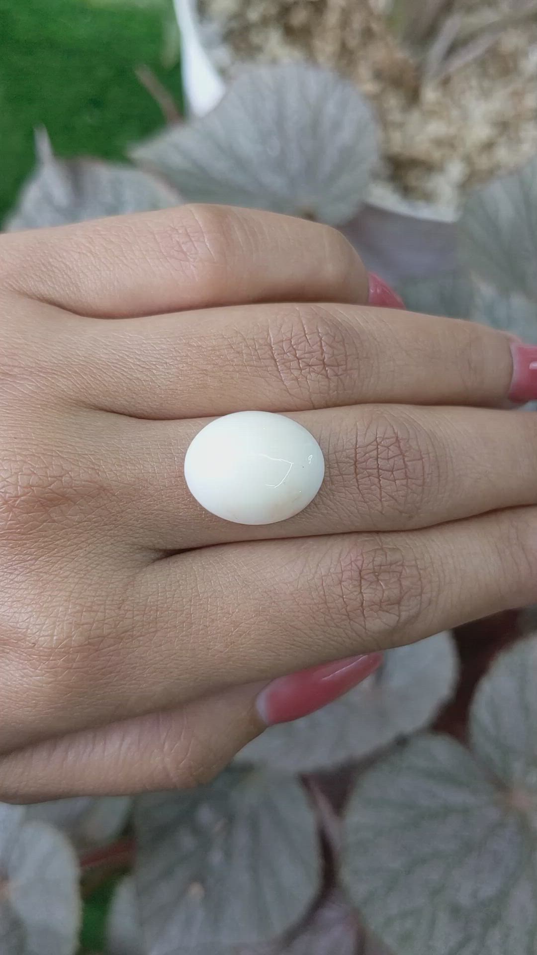 9.48 Ct. Salmon and White Cabochon Coral from Italy Size Video
