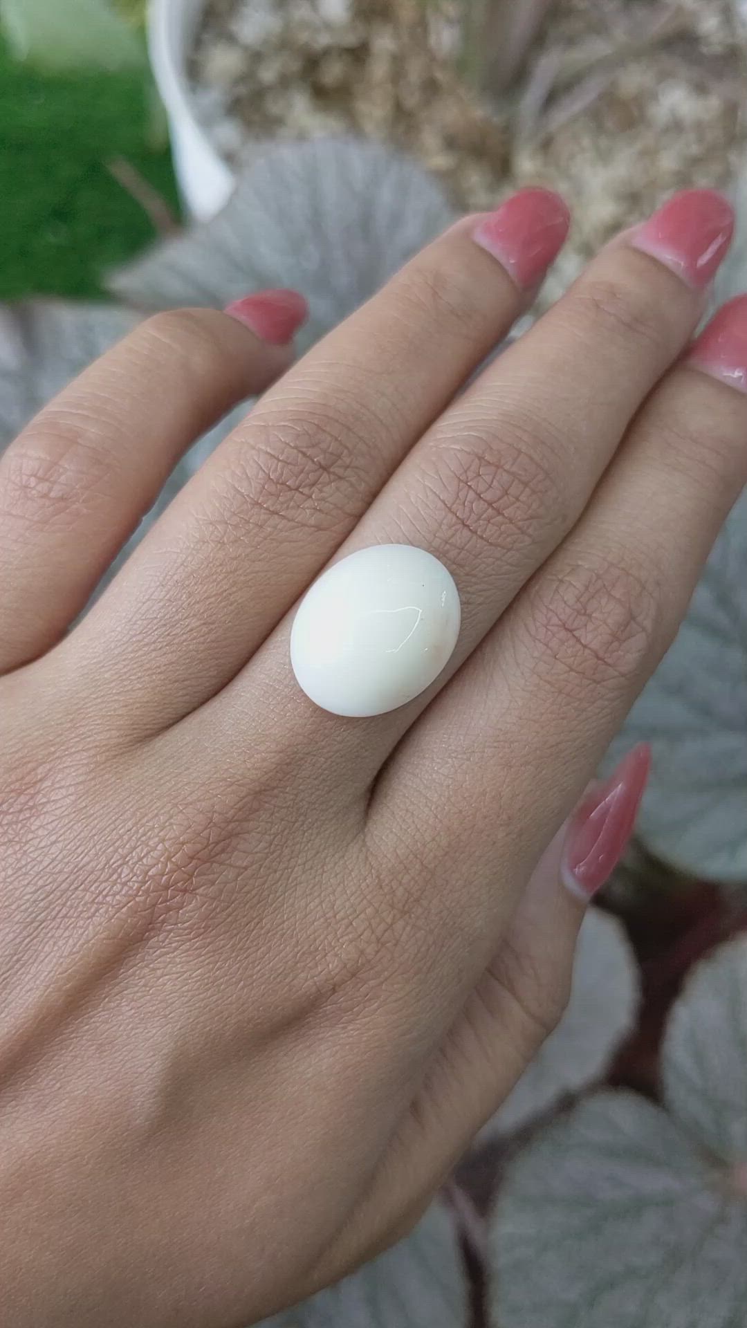 9.48 Ct. Salmon and White Cabochon Coral from Italy Size Video
