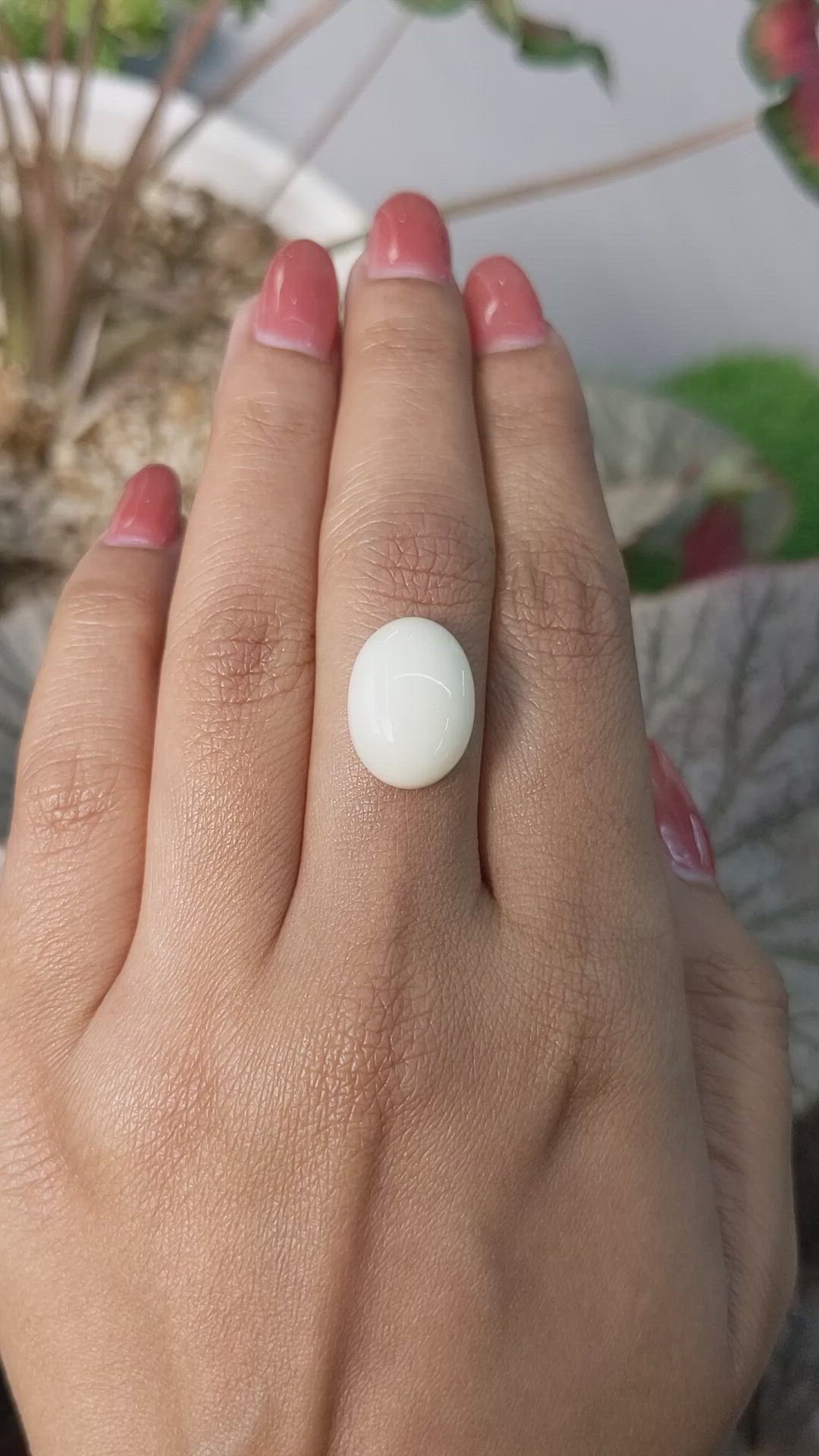 8.27 Ct. Salmon and White Cabochon Coral from Italy Size Video