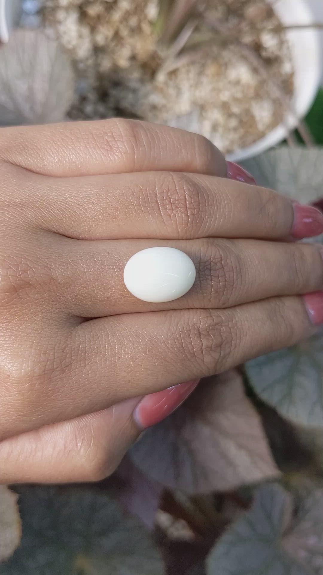 8.27 Ct. Salmon and White Cabochon Coral from Italy Size Video