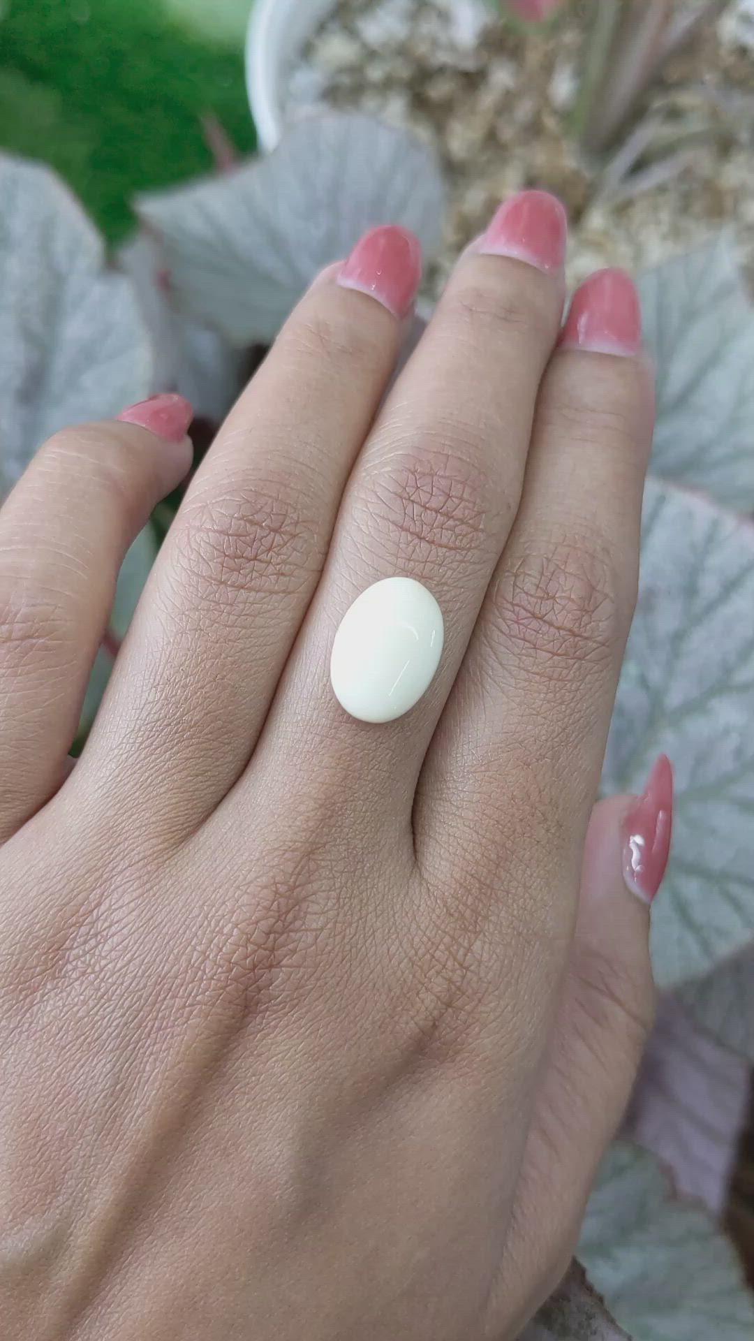4.95 Ct. Salmon and White Cabochon Coral from Italy Size Video