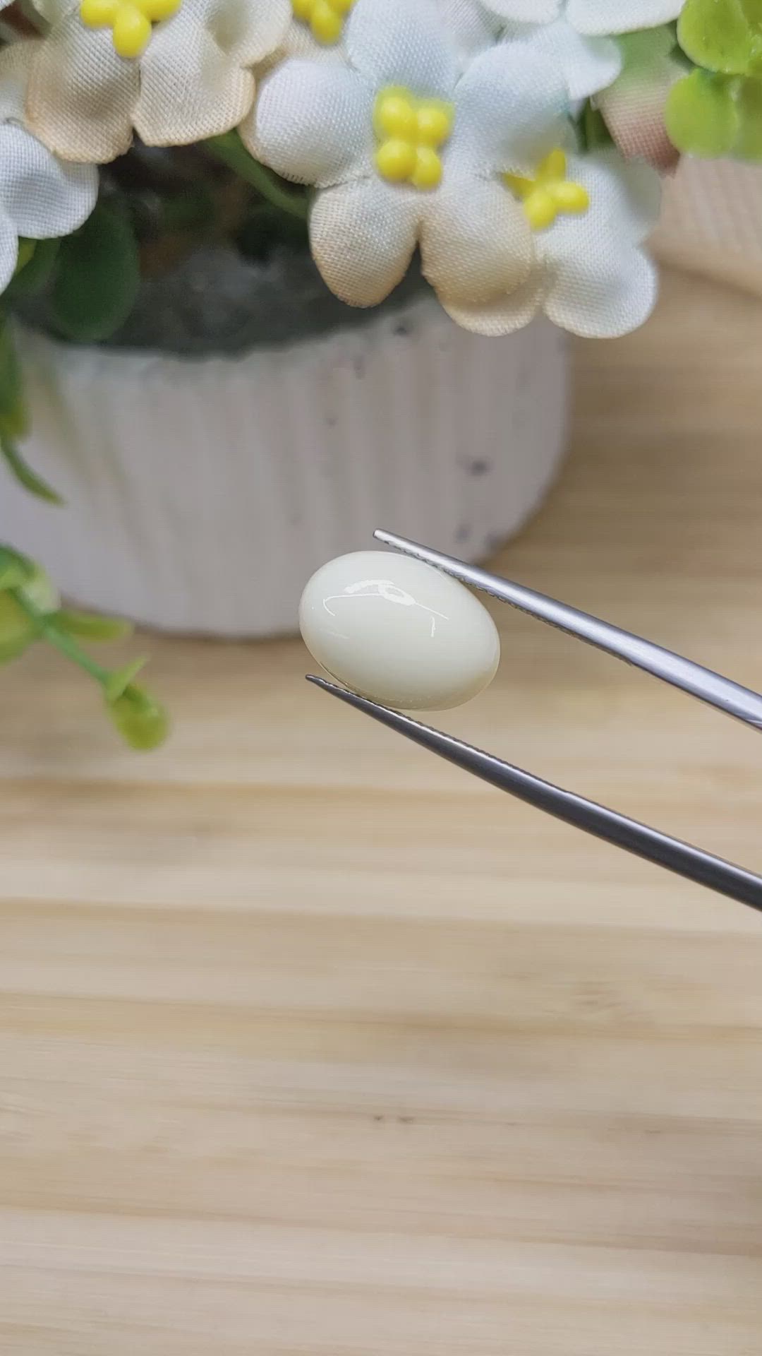 4.95 Ct. Salmon and White Cabochon Coral from Italy Size Video