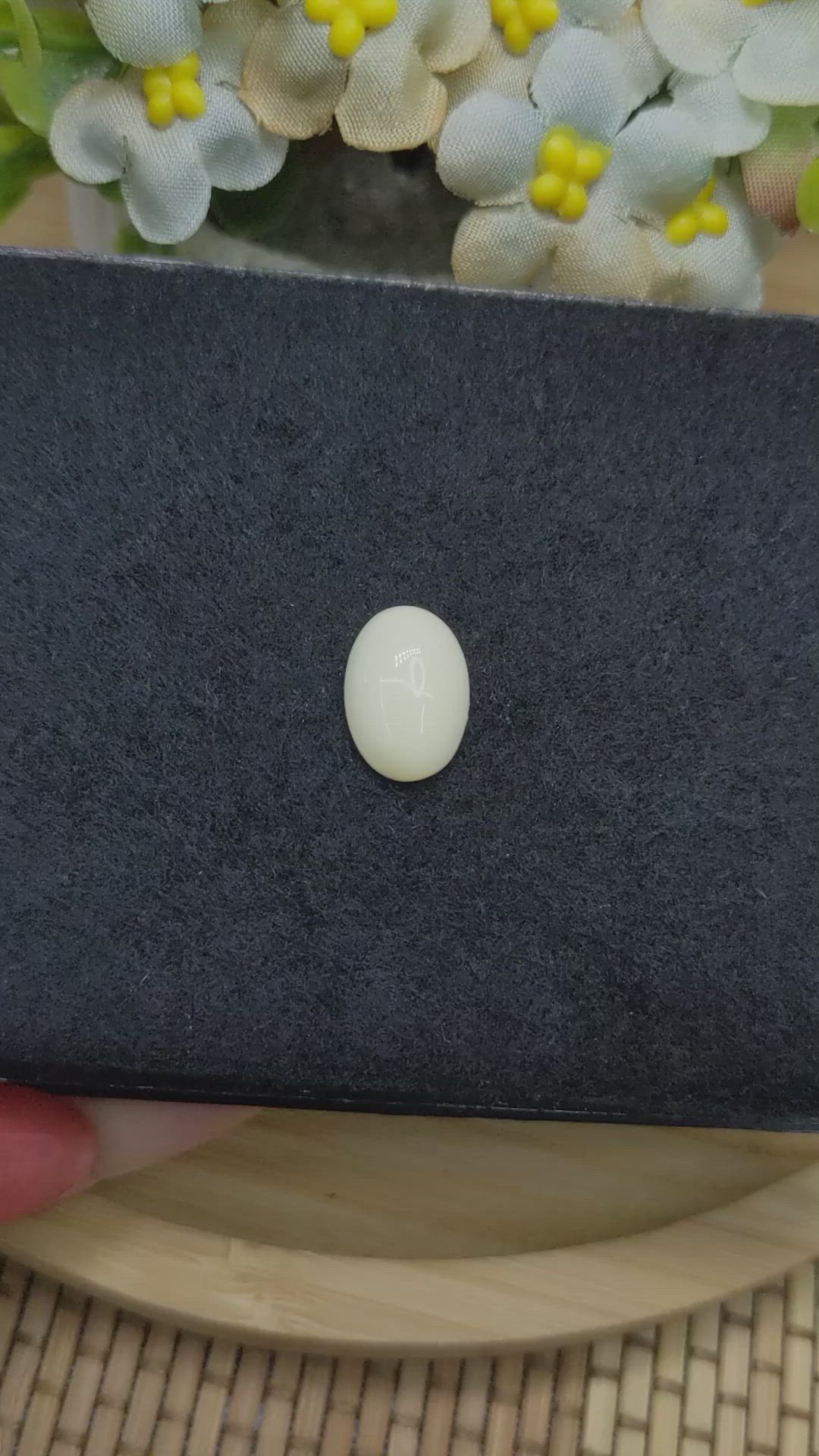 4.95 Ct. Salmon and White Cabochon Coral from Italy Size Video