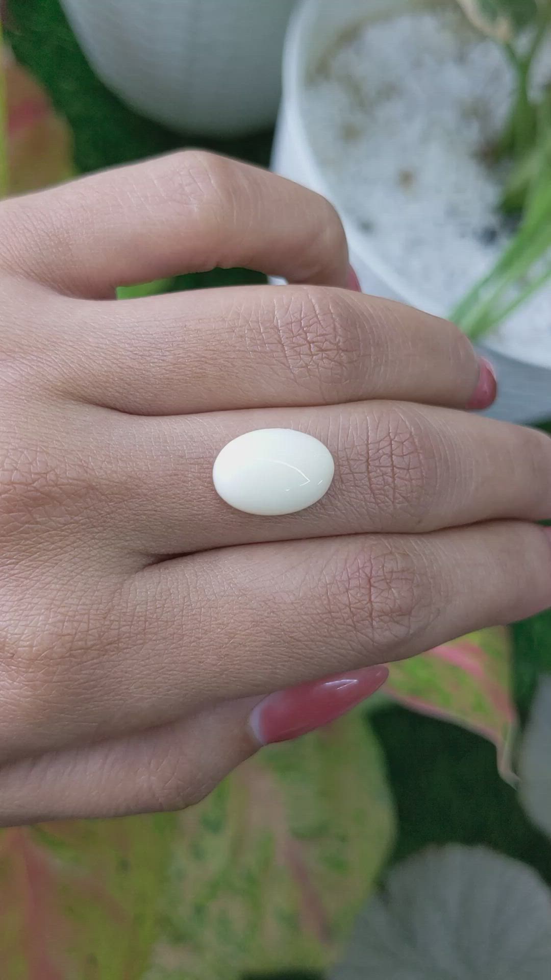 4.95 Ct. Salmon and White Cabochon Coral from Italy Size Video