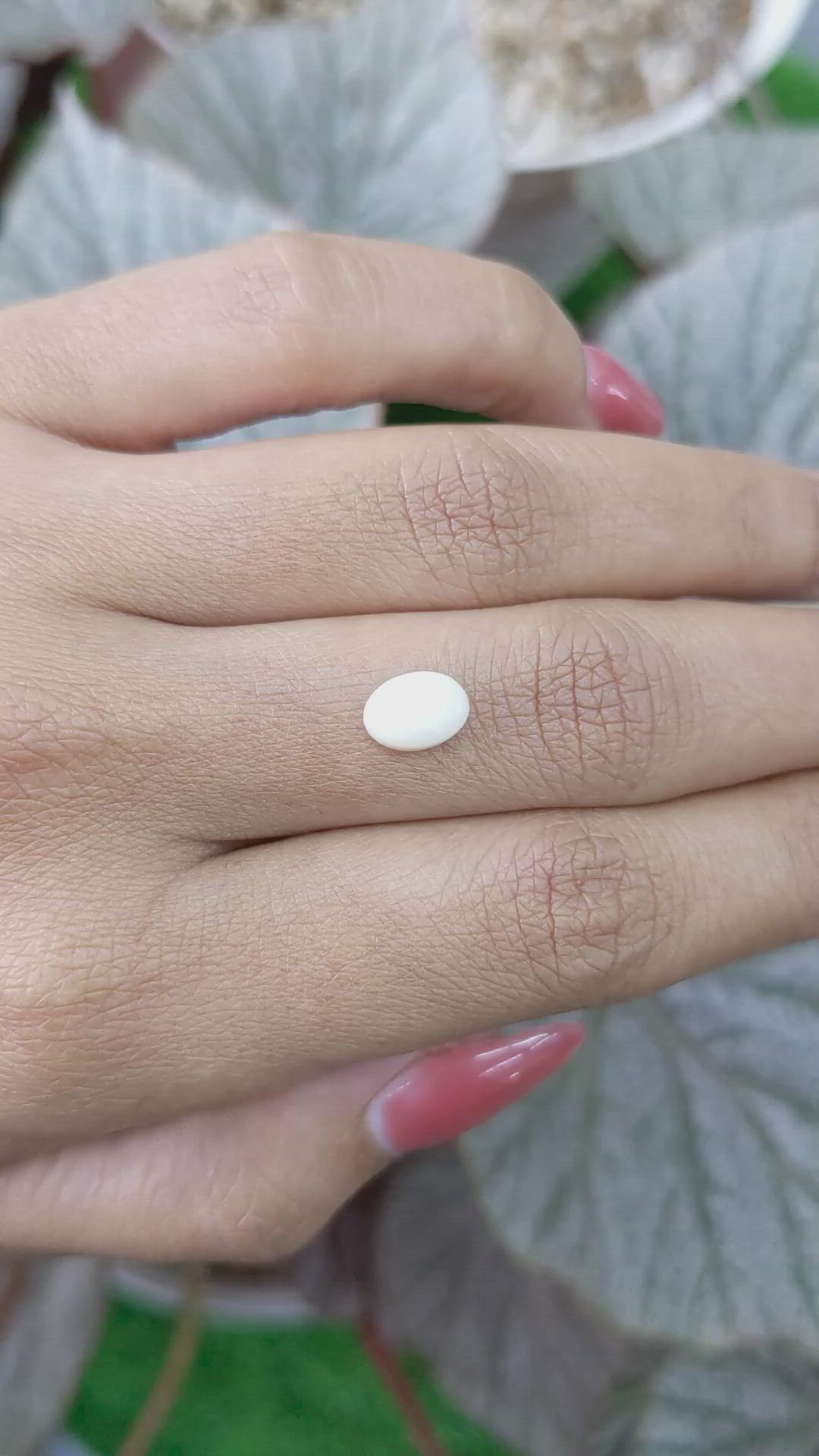 1.26 Ct. Salmon and White Cabochon Coral from Italy Size Video