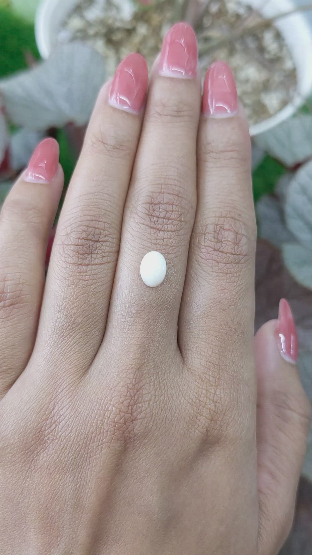1.26 Ct. Salmon and White Cabochon Coral from Italy Size Video