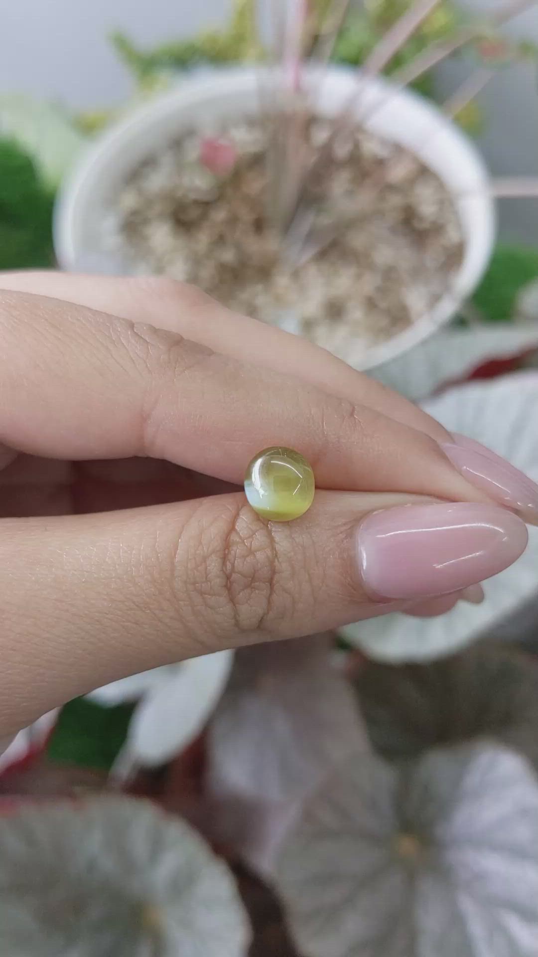 4.33 Ct. Brownish Yellow Cabochon Chrysoberyl from Ceylon (Sri Lanka) Size Video