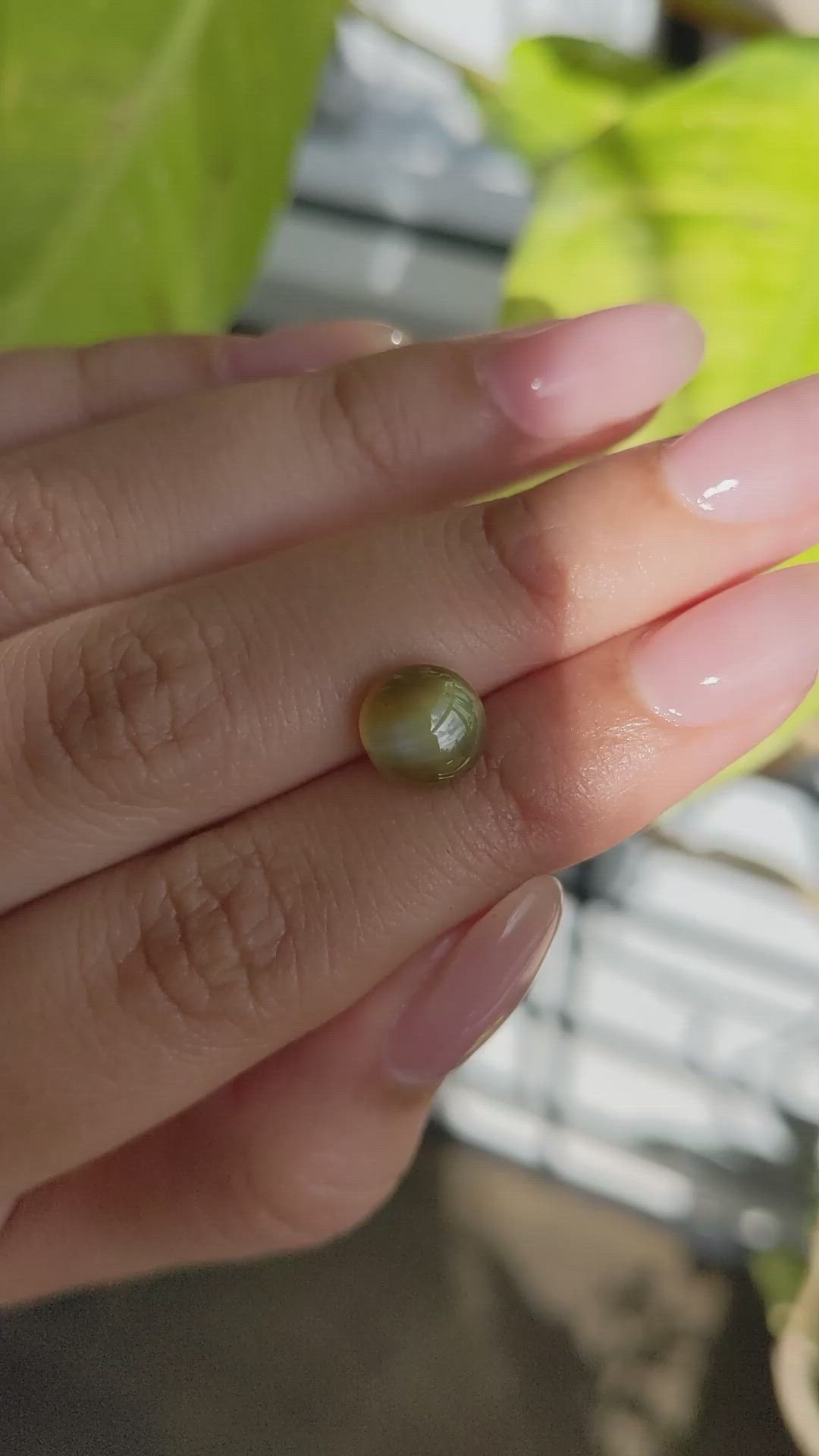 4.33 Ct. Brownish Yellow Cabochon Chrysoberyl from Ceylon (Sri Lanka) Size Video