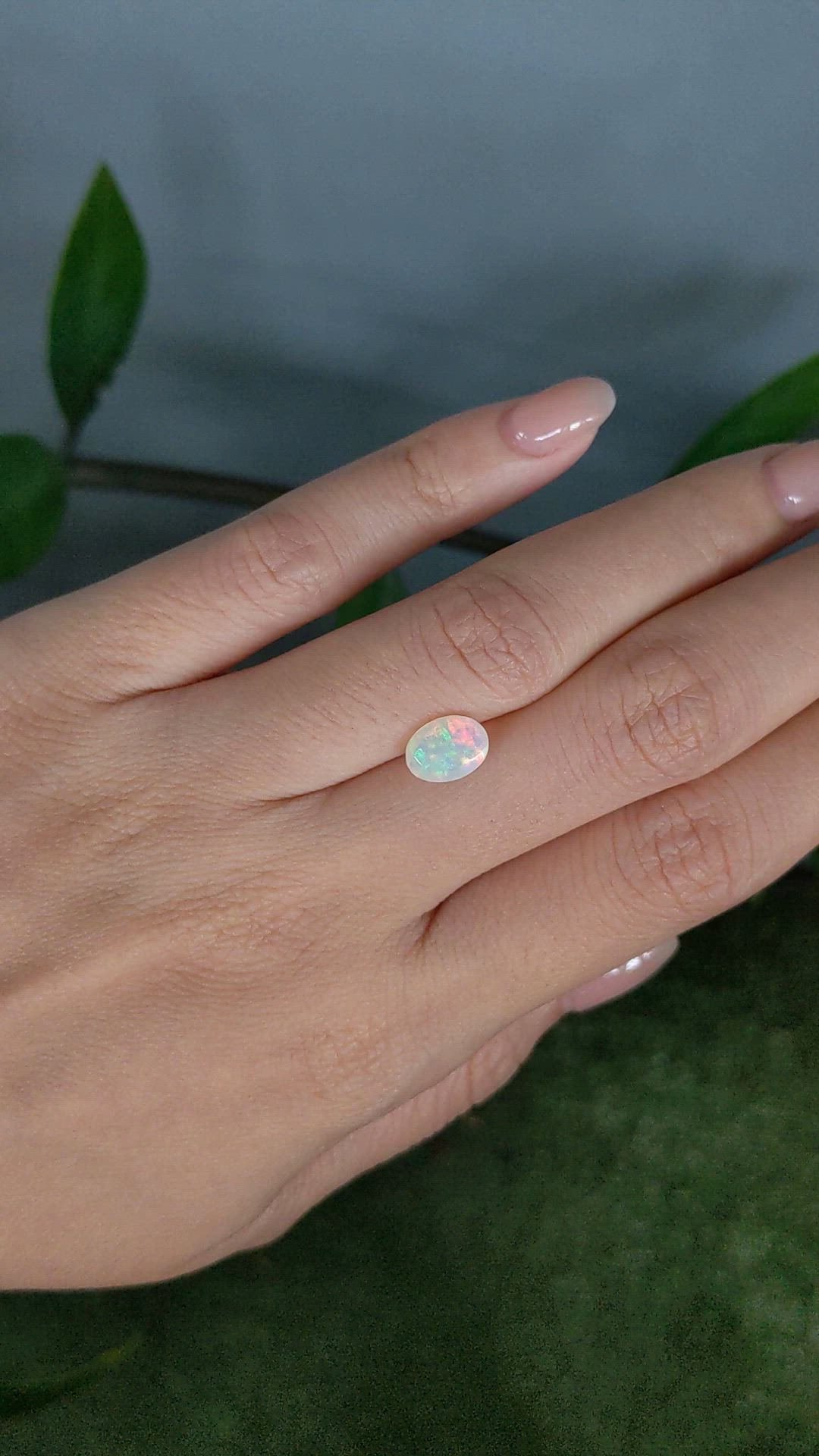 0.85 Ct. Multi Color White Opal from Ethiopia Size Video