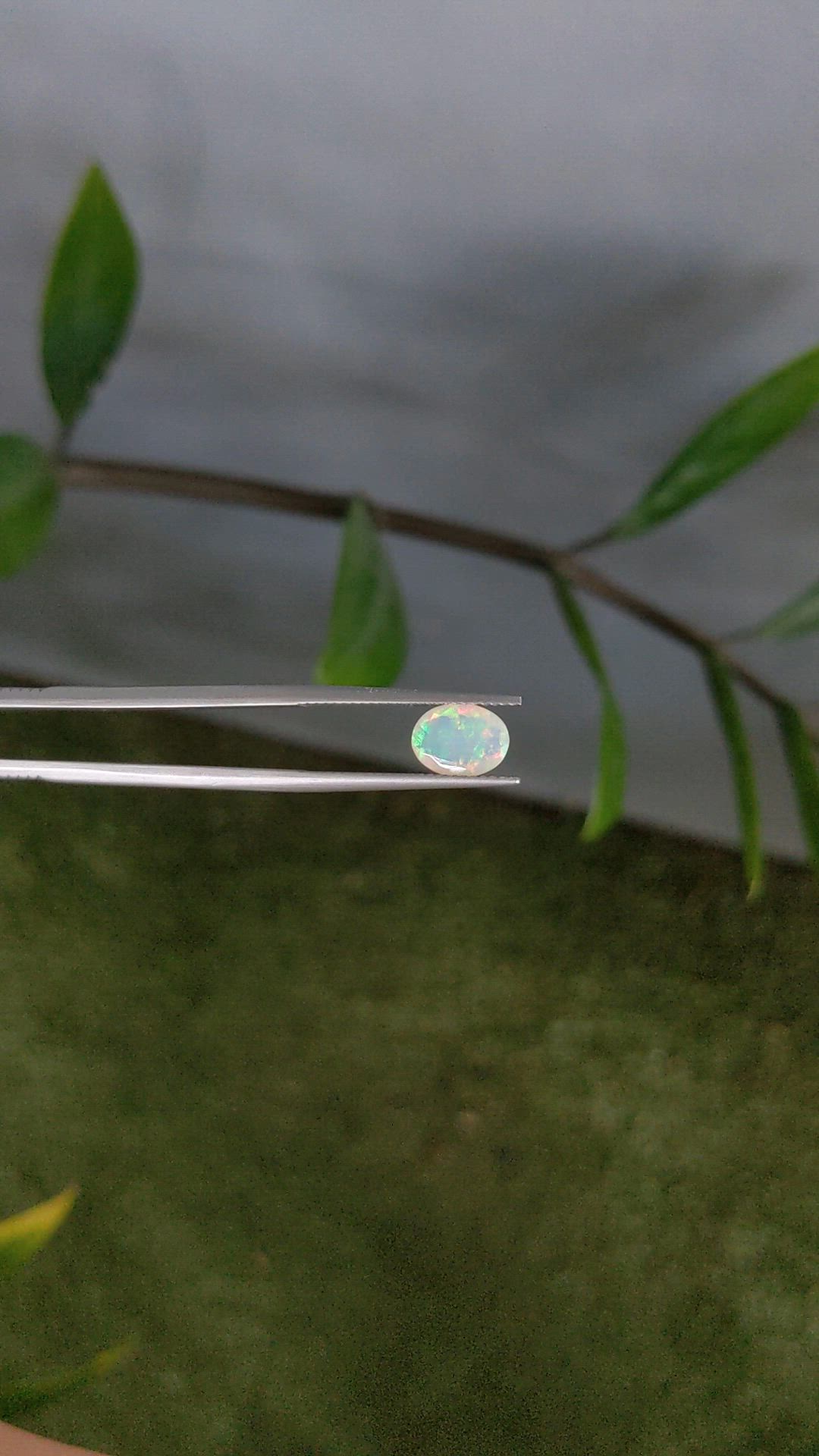 0.85 Ct. Multi Color White Opal from Ethiopia Size Video
