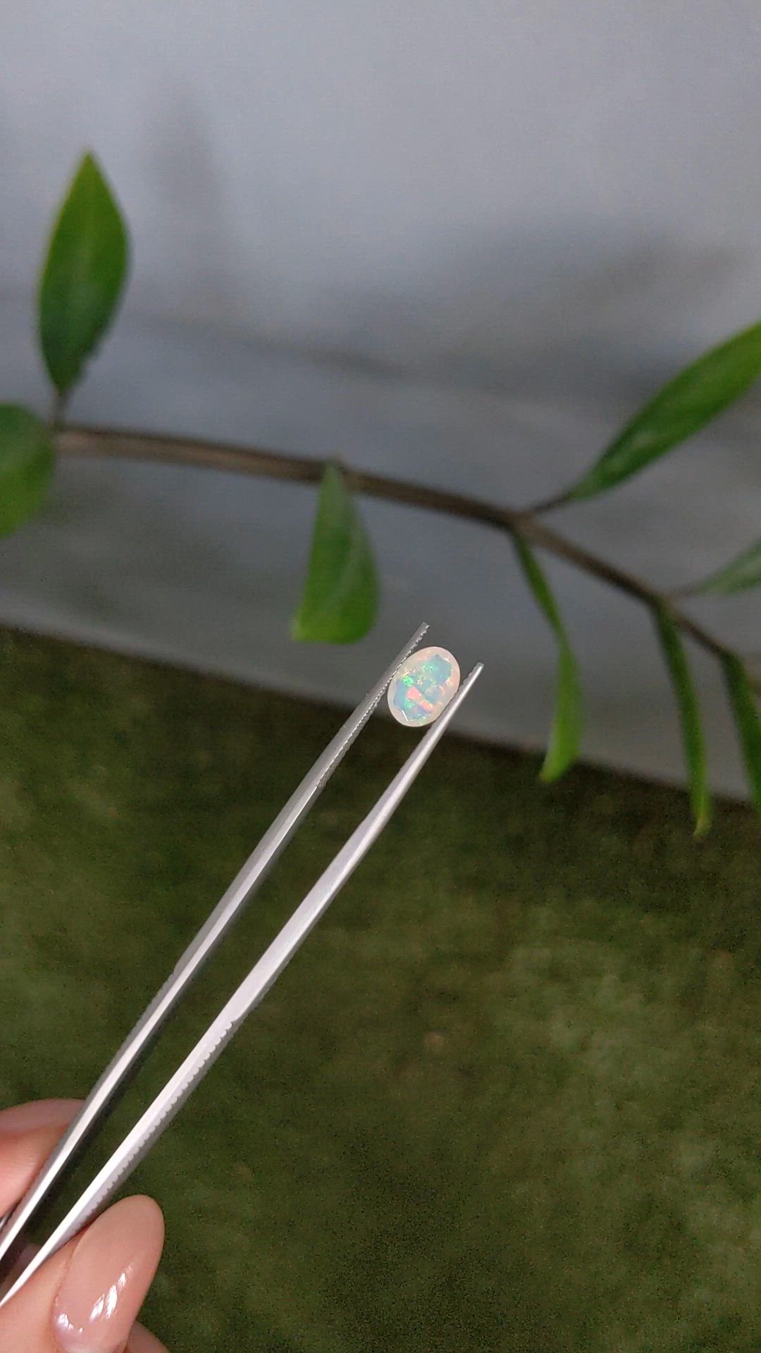 0.85 Ct. Multi Color White Opal from Ethiopia Size Video