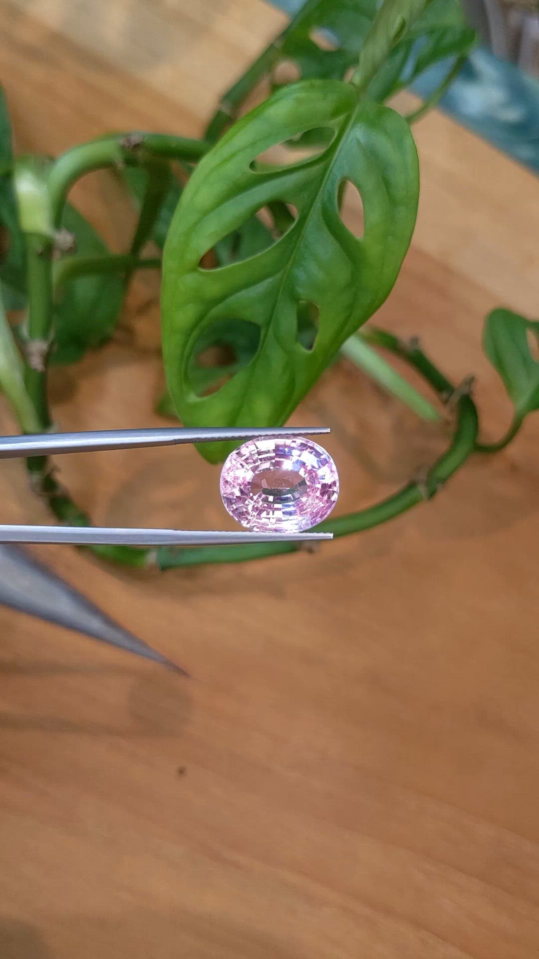 12.79 Ct. Pink Kunzite from Afghanistan Size Video
