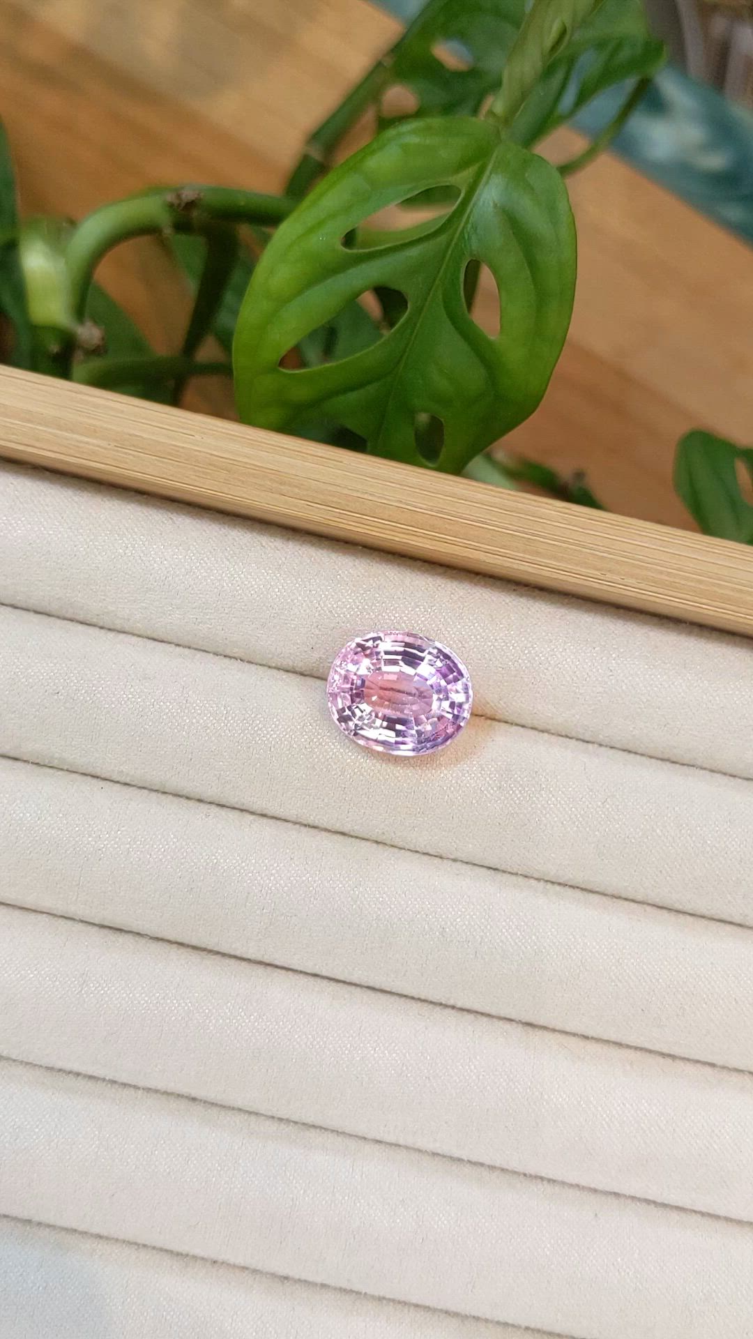 12.79 Ct. Pink Kunzite from Afghanistan Size Video