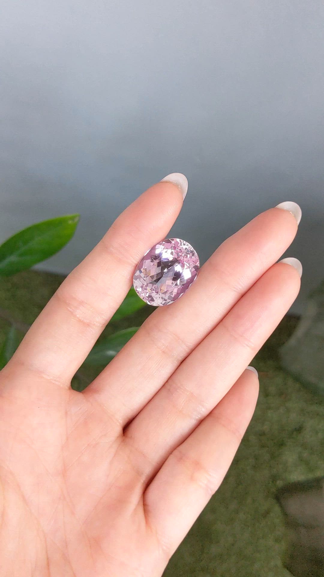 24.86 Ct. Pink Kunzite from Afghanistan Size Video