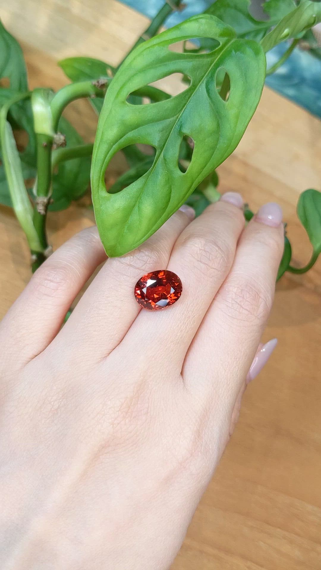 8.04 Ct. Orange Spessartite Garnet from Namibia Size Video