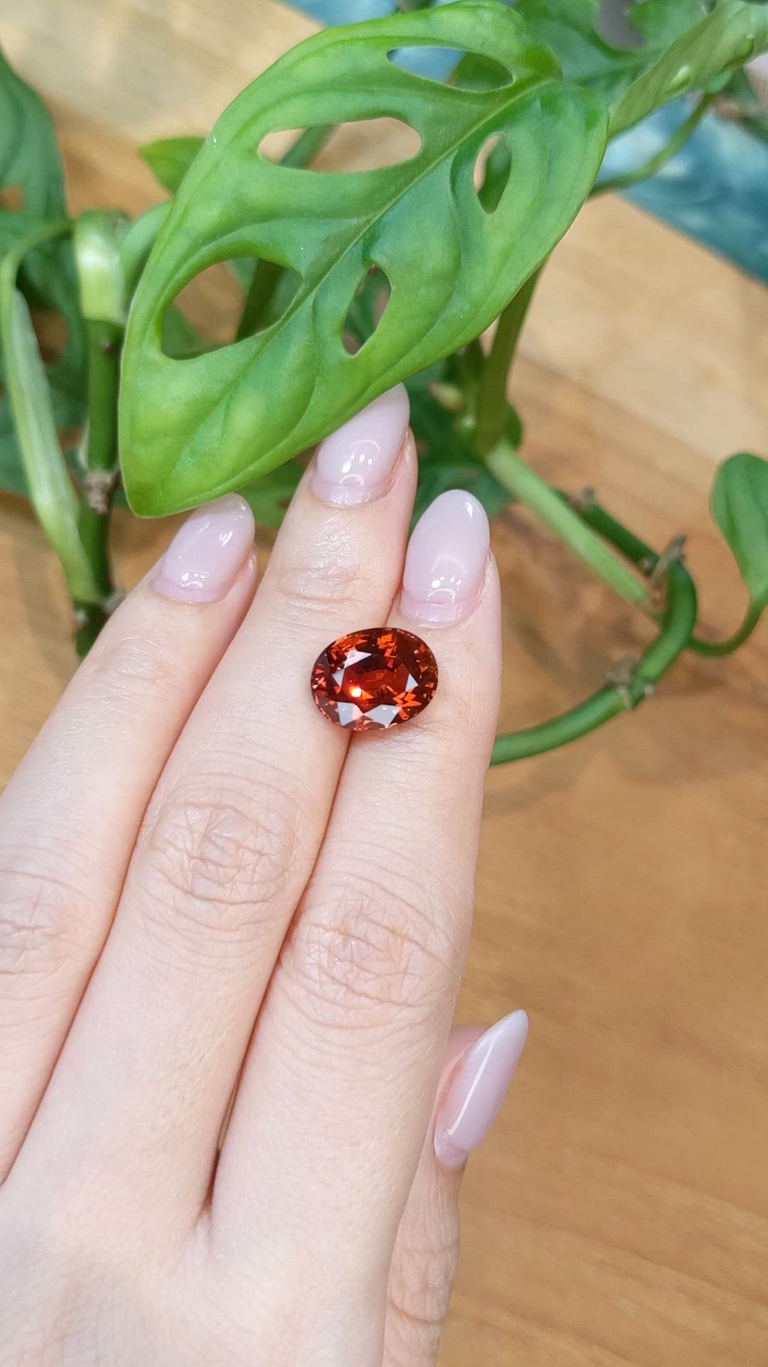 8.04 Ct. Orange Spessartite Garnet from Namibia Size Video